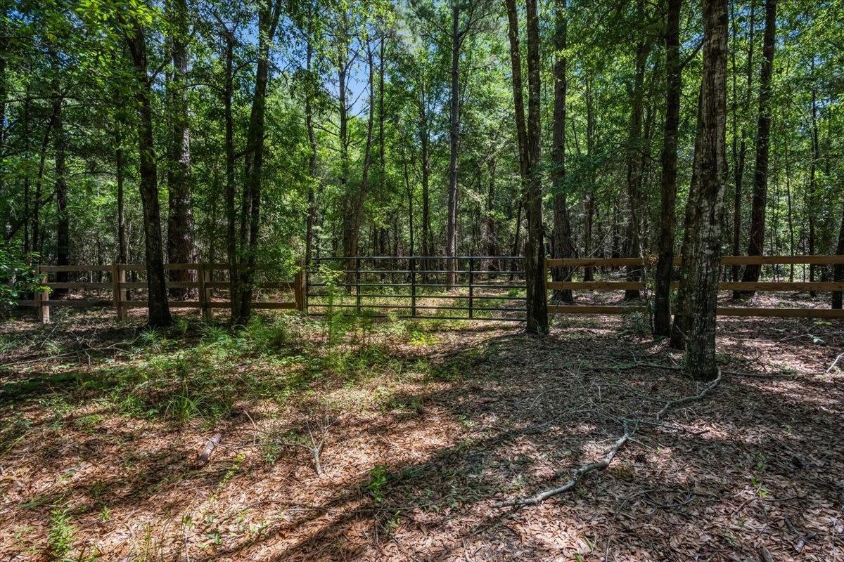 Tbd 5.3 Acres Springtown Rd Property Photo 2