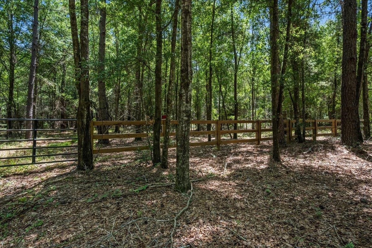 Tbd 5.3 Acres Springtown Rd Property Photo 3
