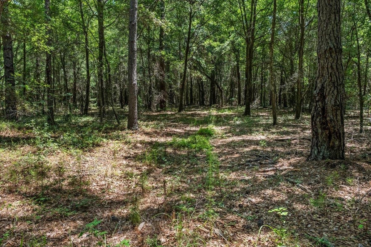 Tbd 5.3 Acres Springtown Rd Property Photo 4