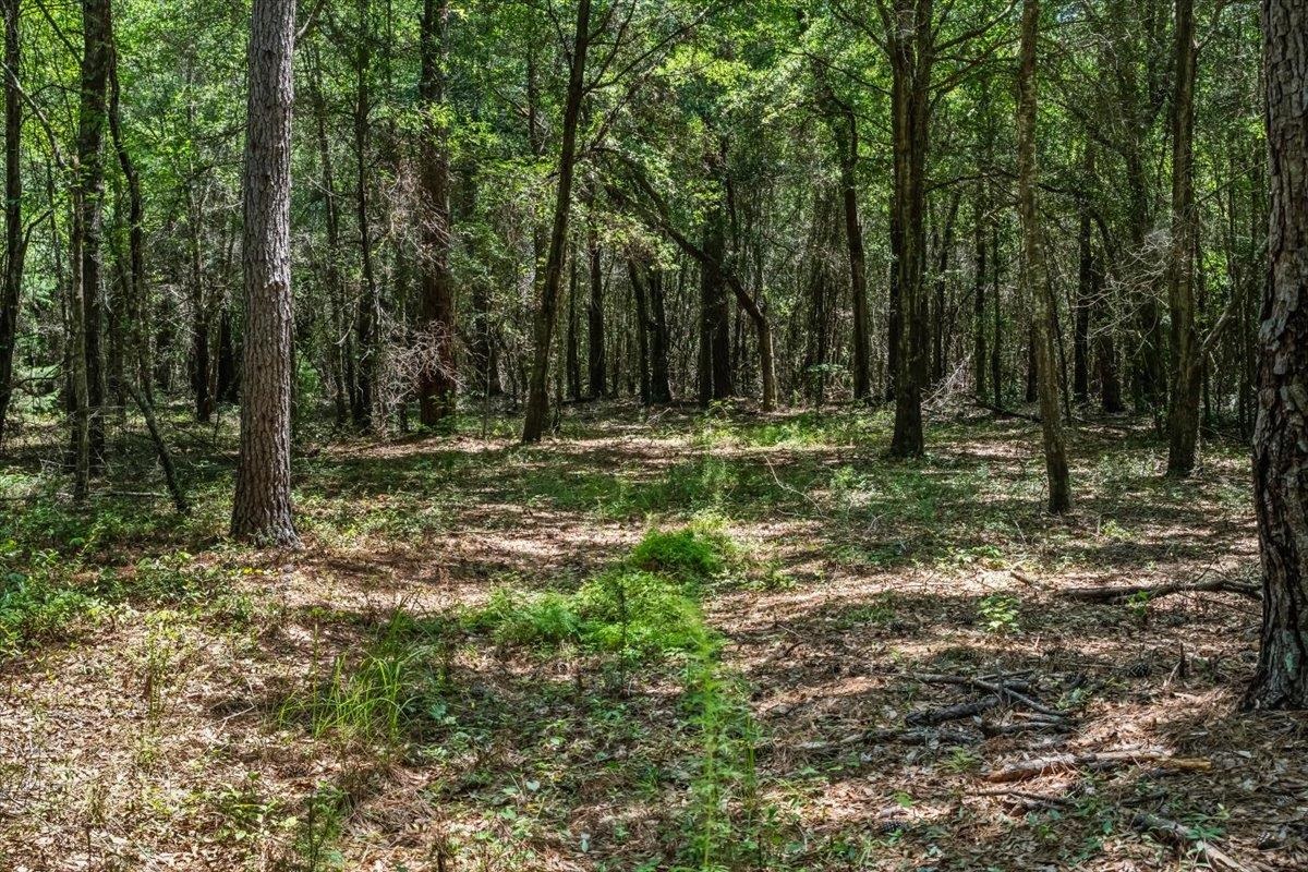 Tbd 5.3 Acres Springtown Rd Property Photo 5