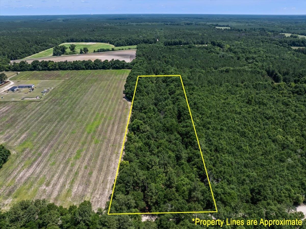 Tbd 5.3 Acres Springtown Rd Property Photo 6