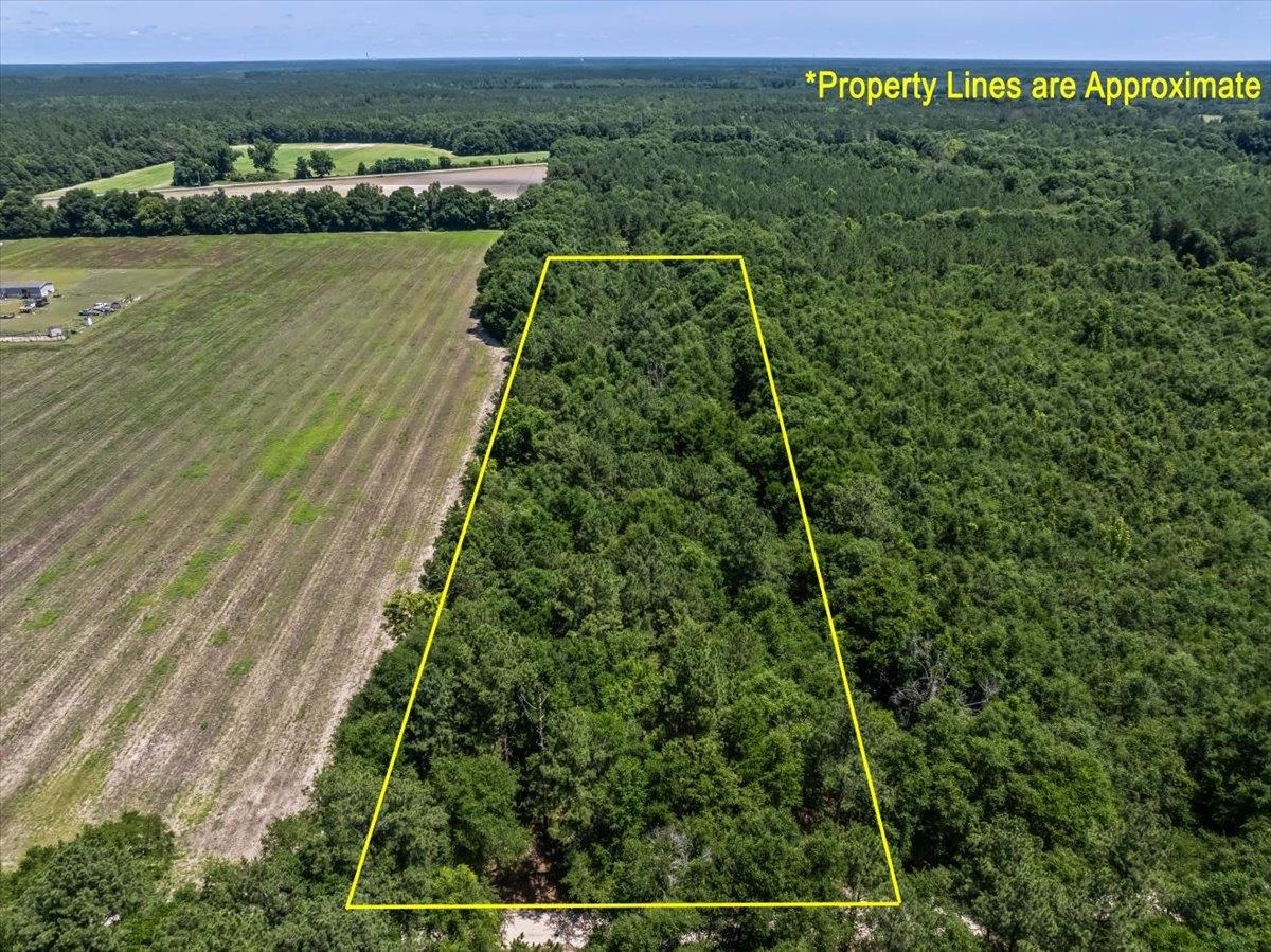 Tbd 5.3 Acres Springtown Rd Property Photo 7
