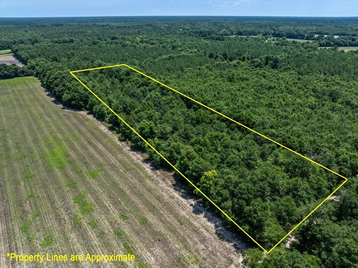 Tbd 5.3 Acres Springtown Rd Property Photo 8