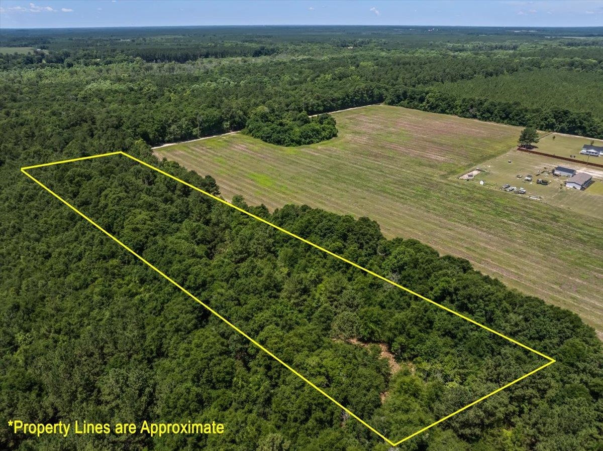 Tbd 5.3 Acres Springtown Rd Property Photo 9