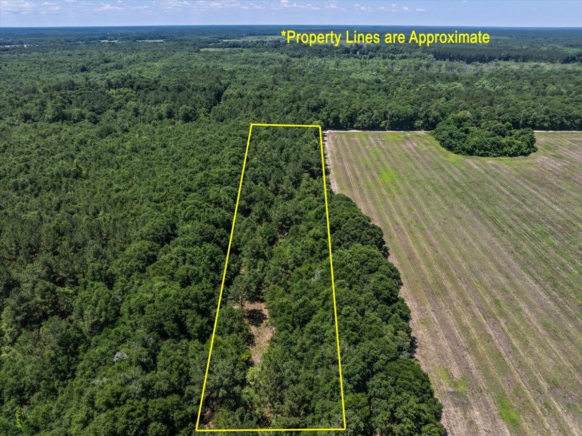 Tbd 5.3 Acres Springtown Rd Property Photo 10