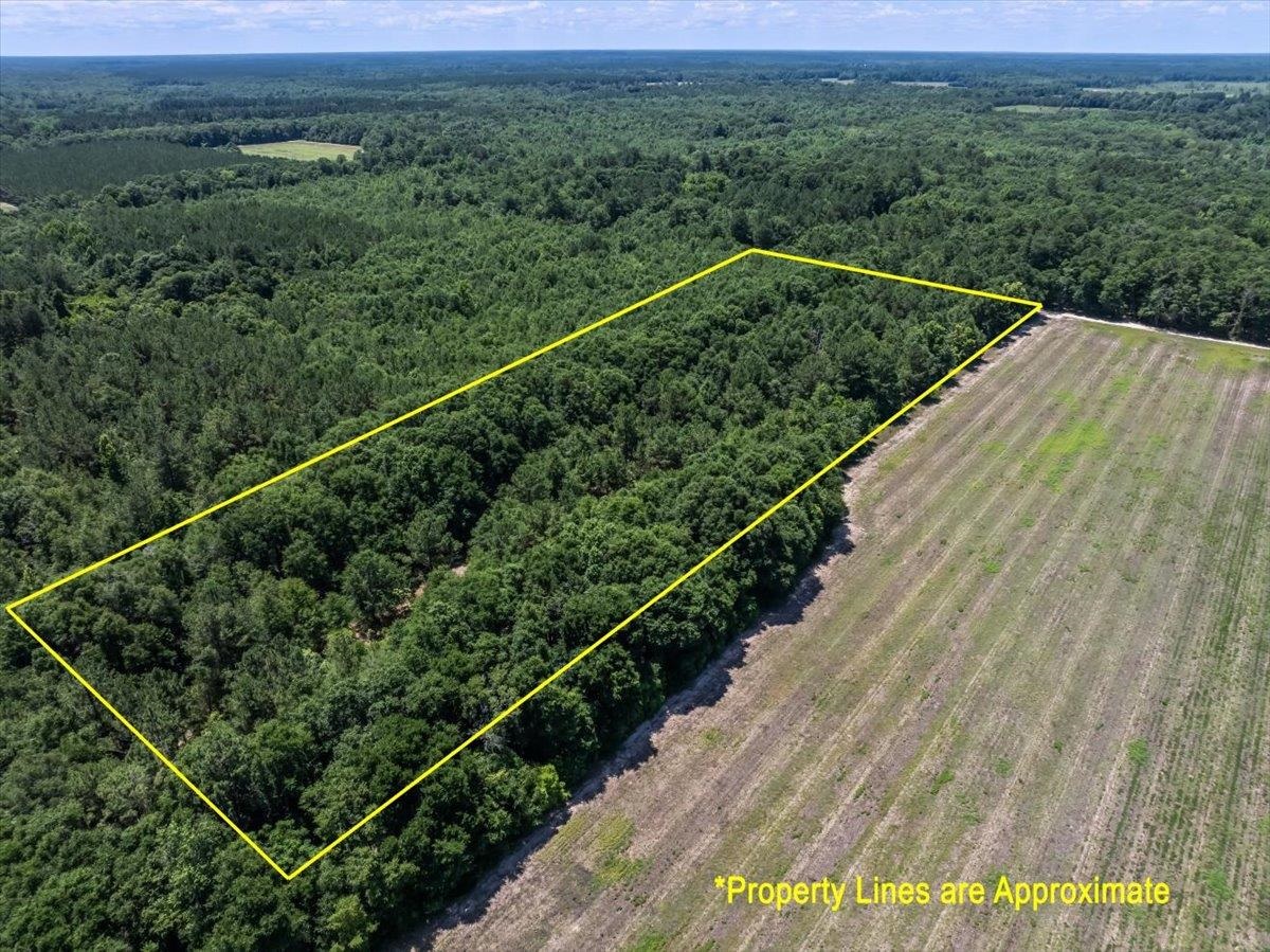 Tbd 5.3 Acres Springtown Rd Property Photo 11