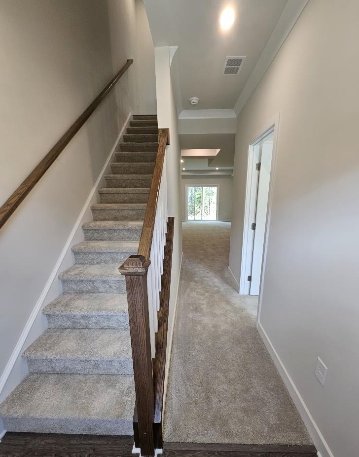 303 Golan Circle Property Photo 10