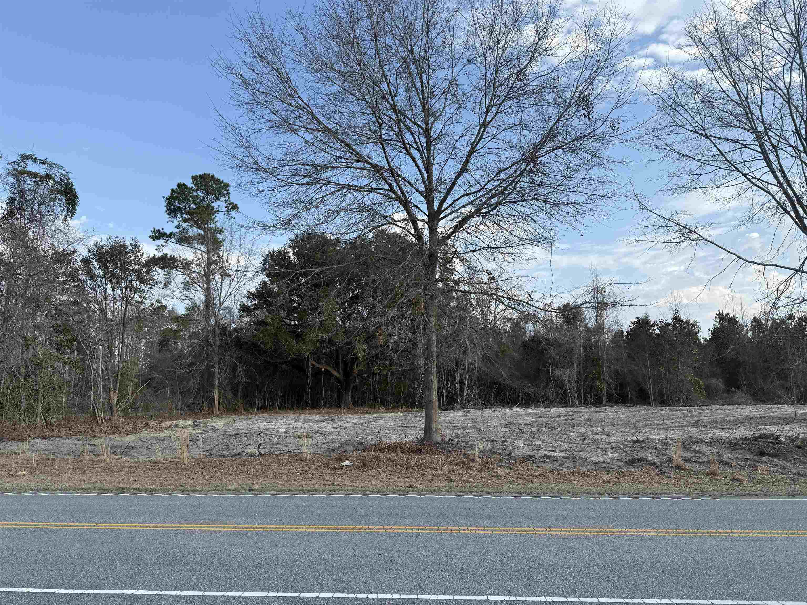 10576 W Highway 19 Property Photo 1