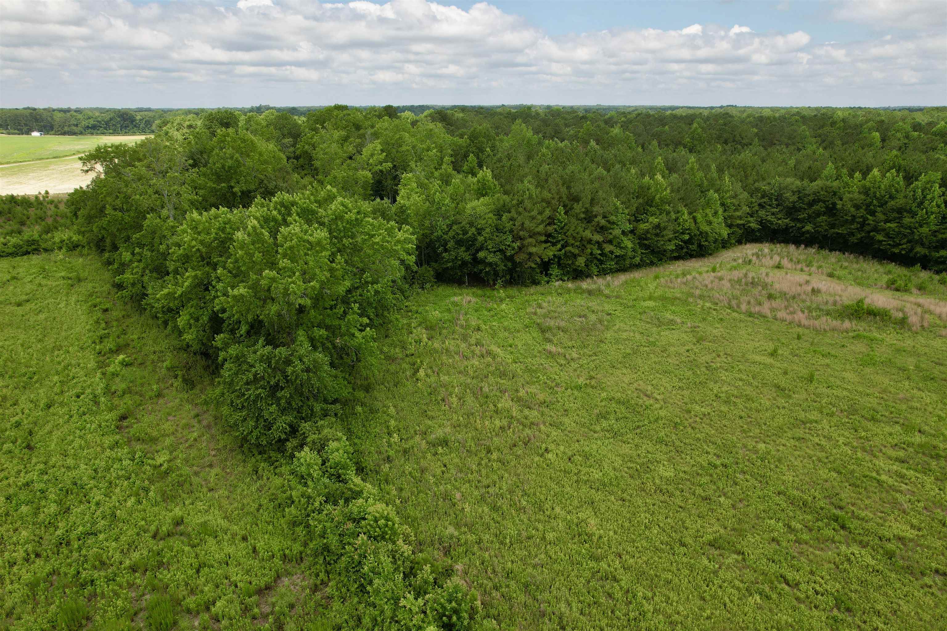 0 Powell Rd. Property Photo 61