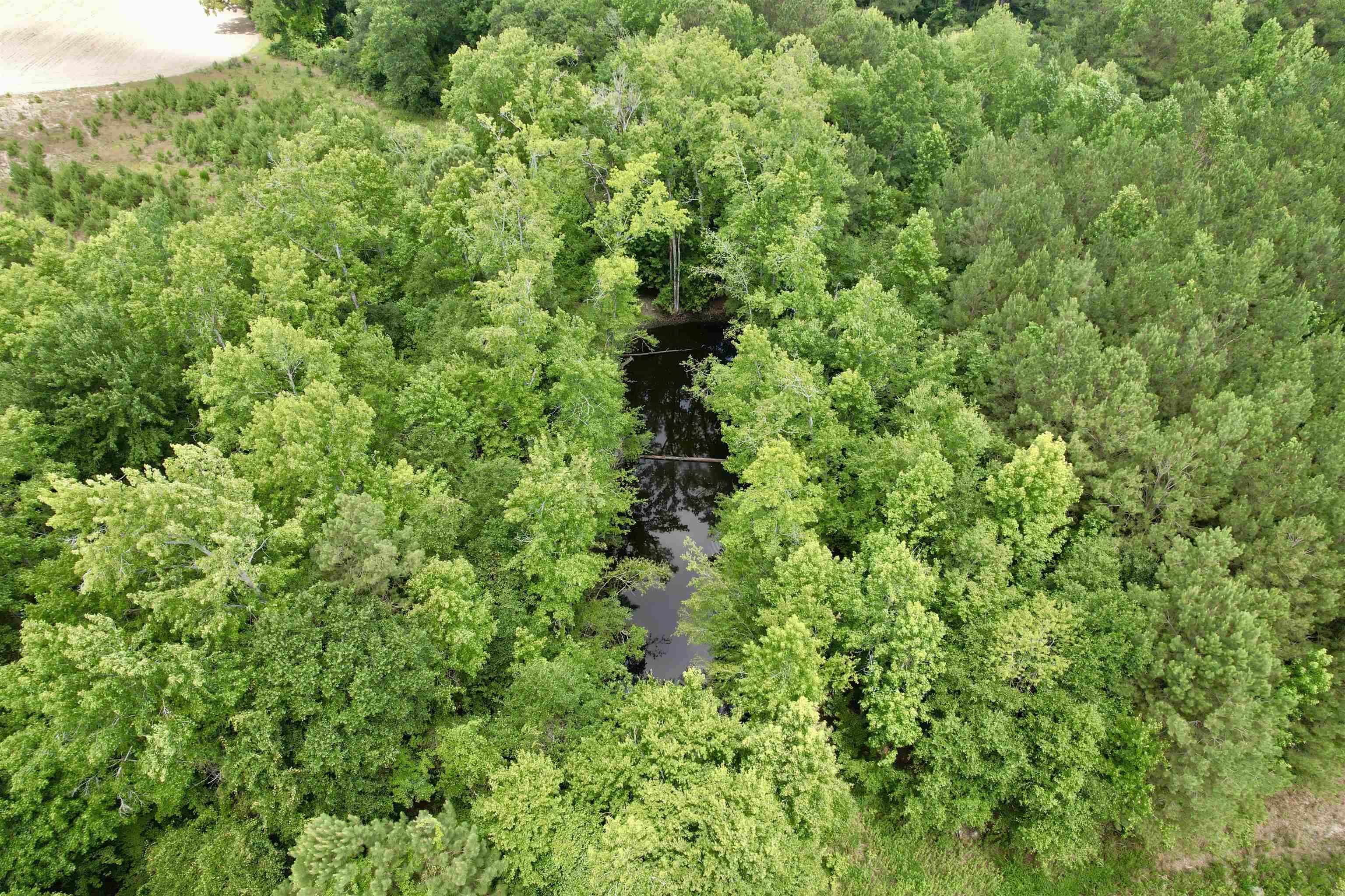 0 Powell Rd. Property Photo 62