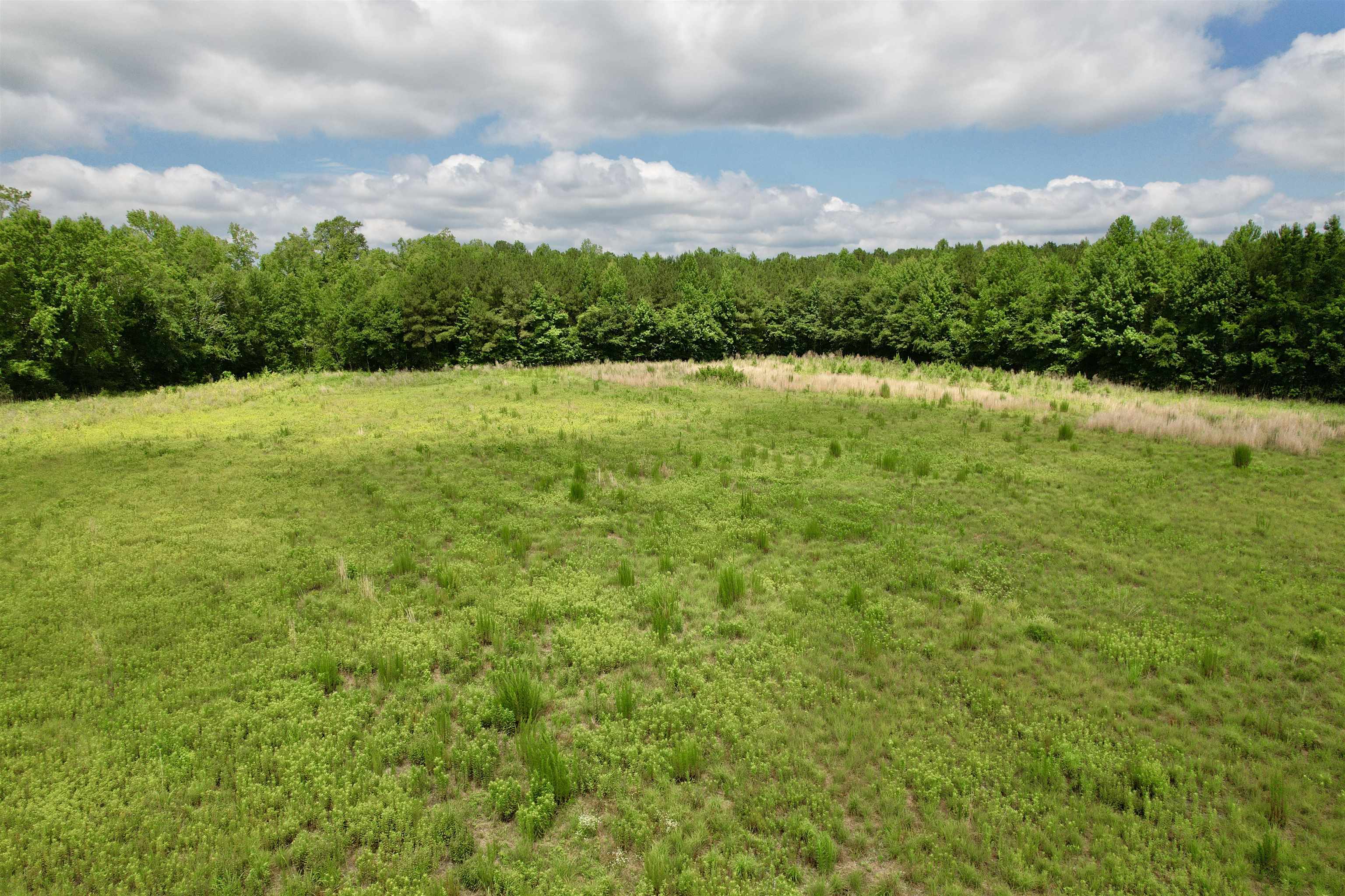 0 Powell Rd. Property Photo 63