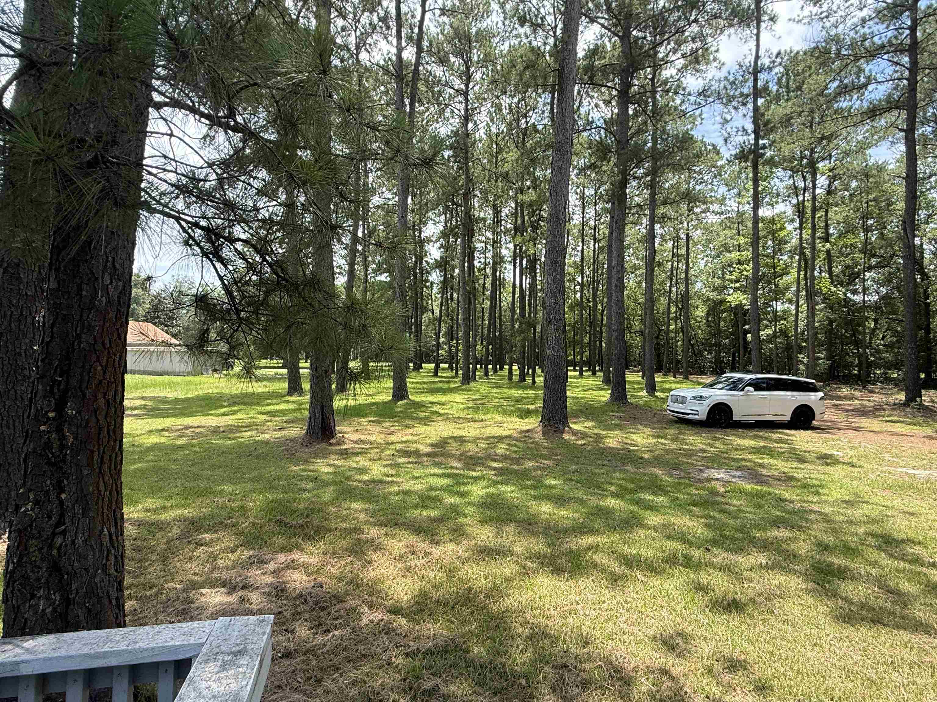 7241 Lawrimore Ln. Property Photo 20