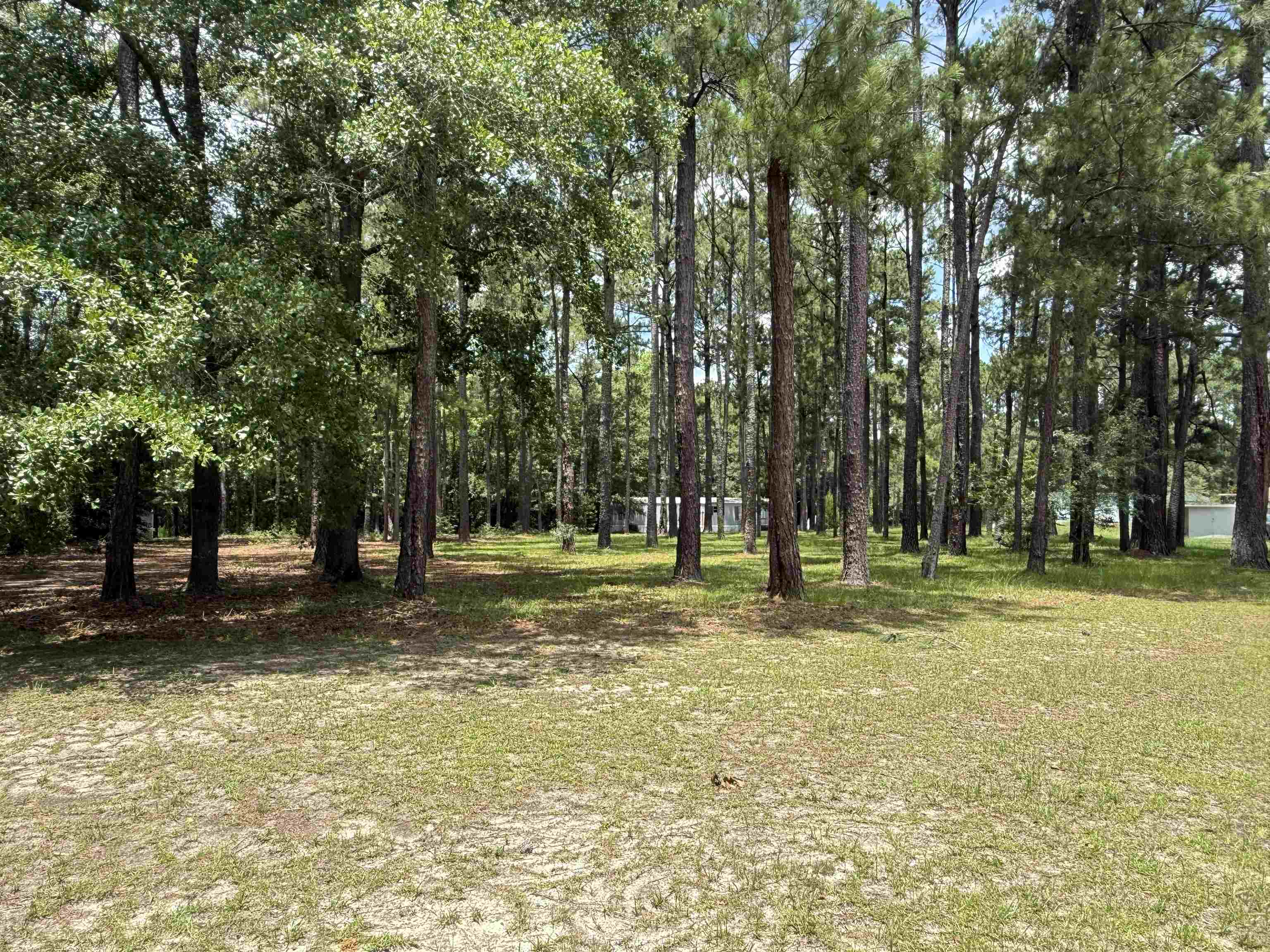 7241 Lawrimore Ln. Property Photo 22