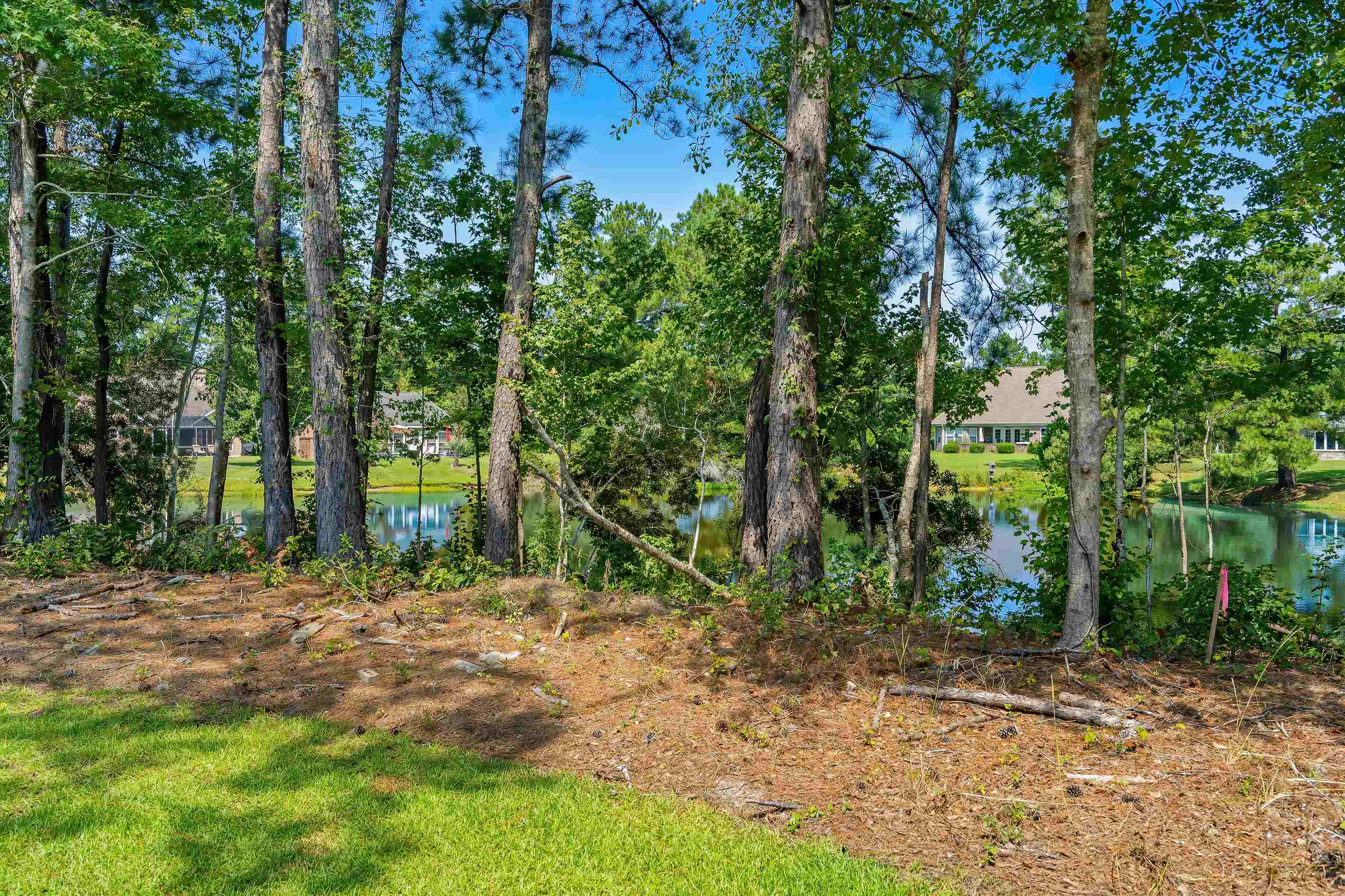 898 Foxtail Dr. Property Photo 17