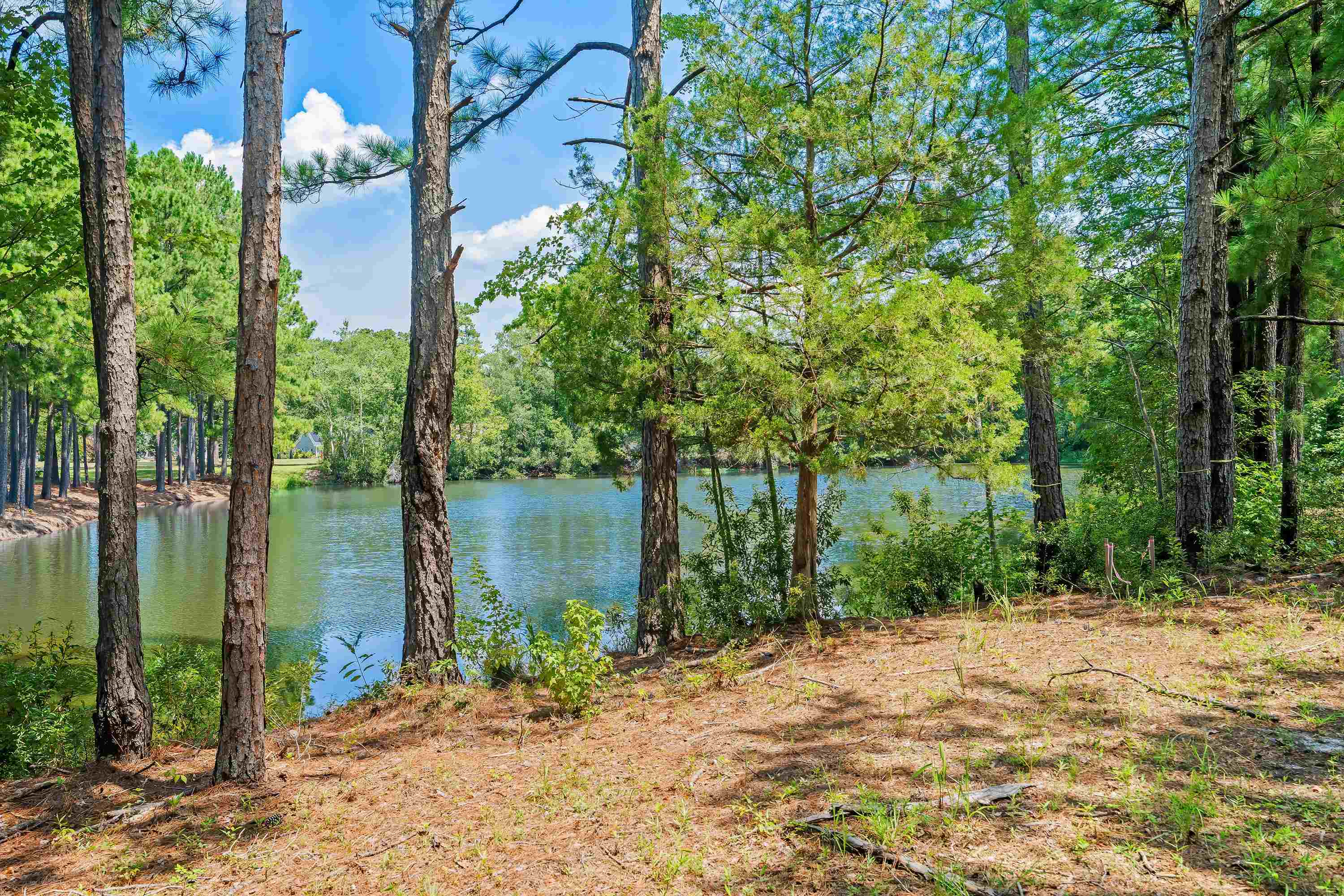 870 Foxtail Dr. Property Photo 22
