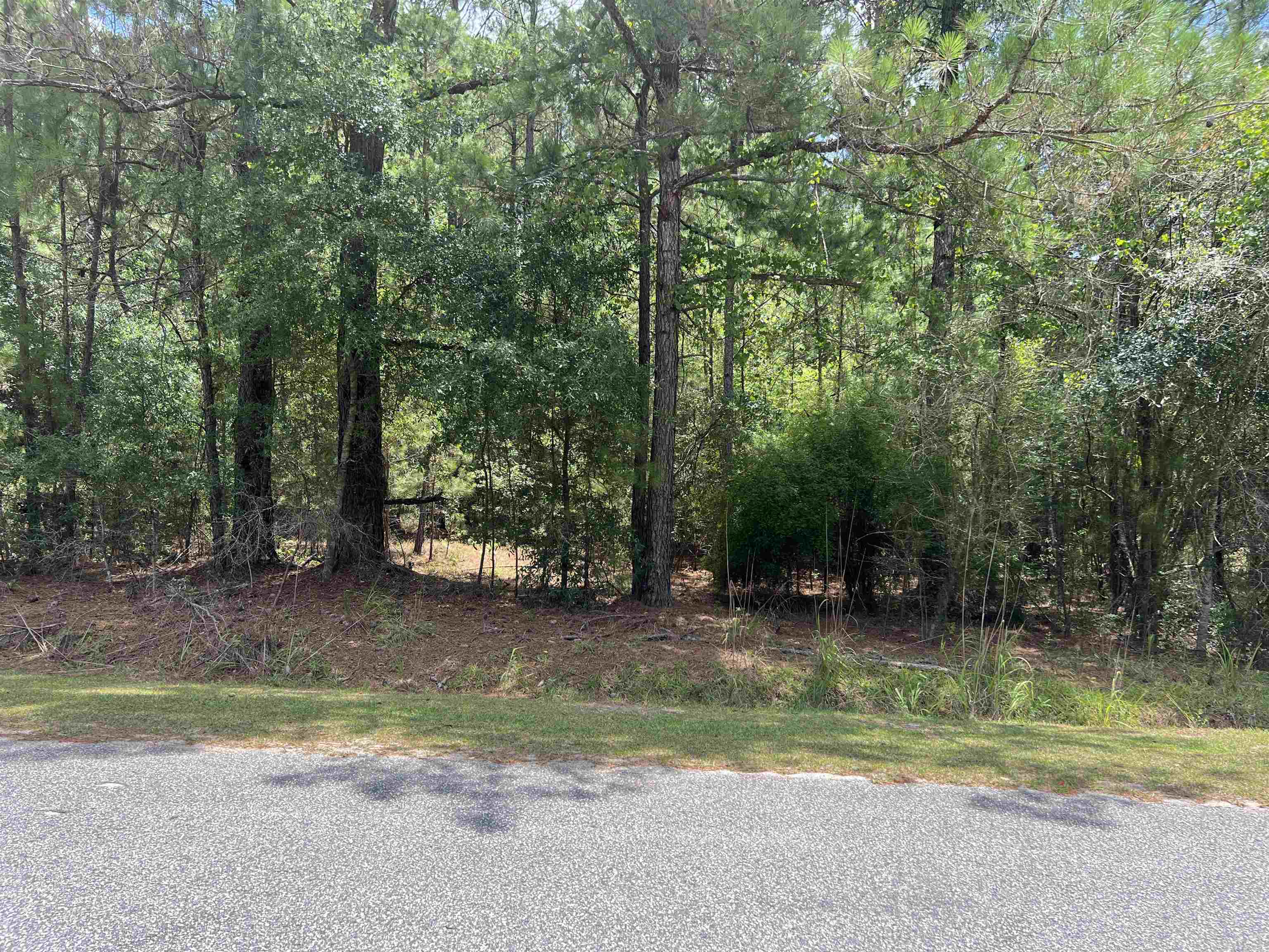 Tbd Ervin Road Ervin Rd. Property Photo 1