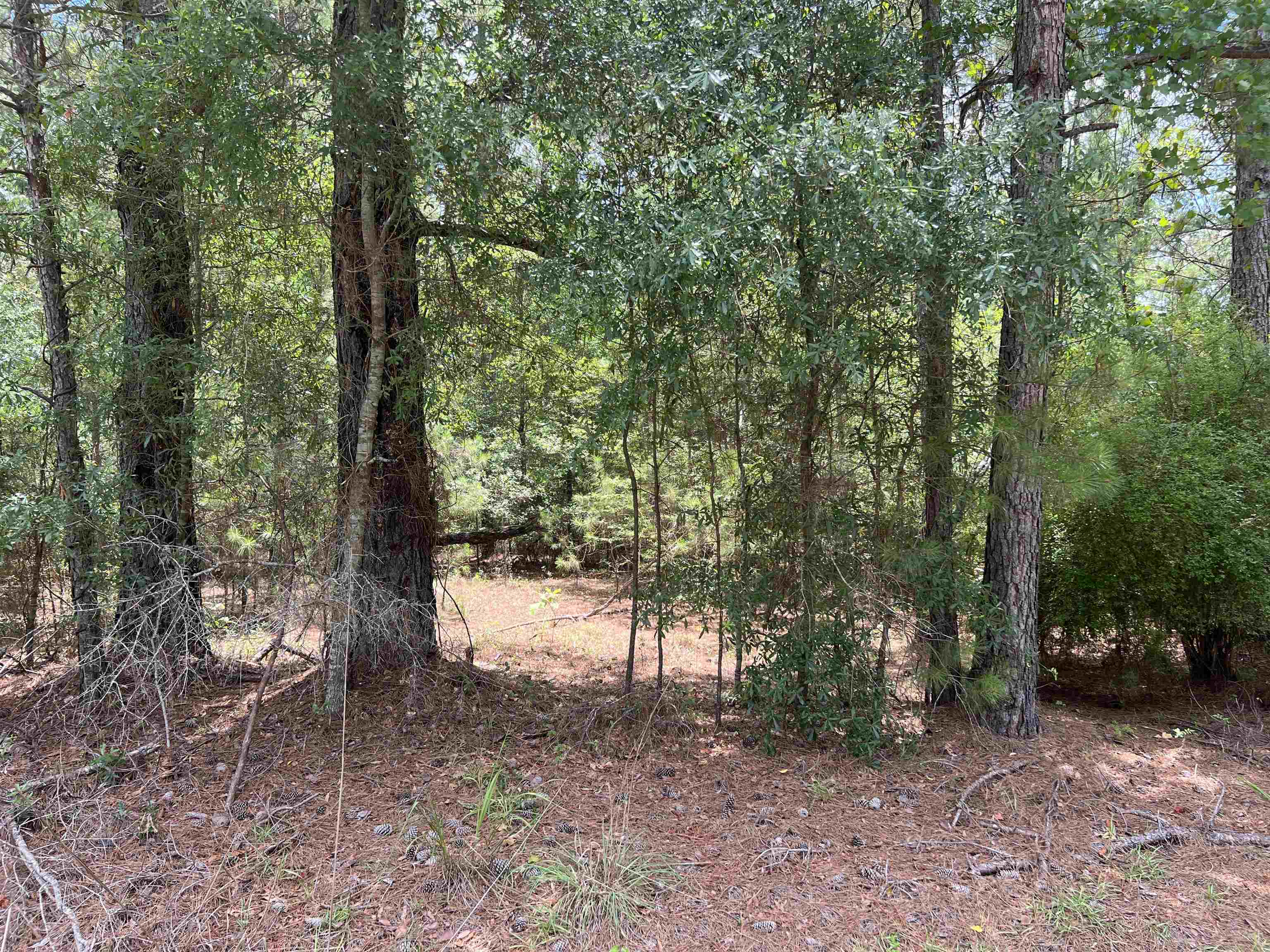 Tbd Ervin Road Ervin Rd. Property Photo 2