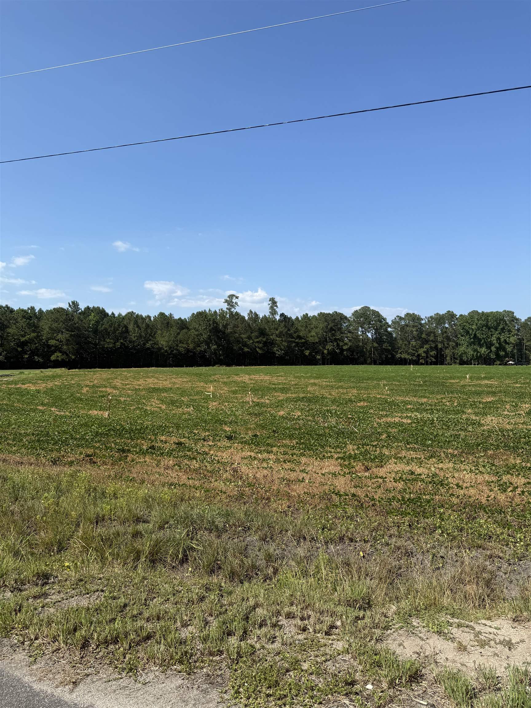 Tbd Dupont Rd. Property Photo 1