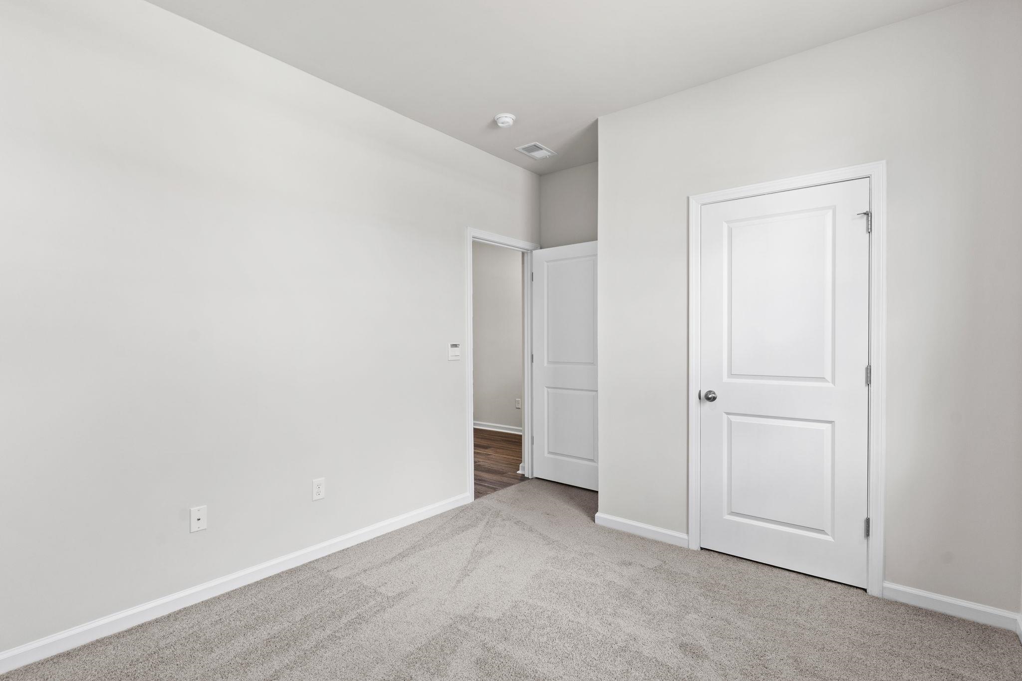 338 Ridley St Property Photo 15