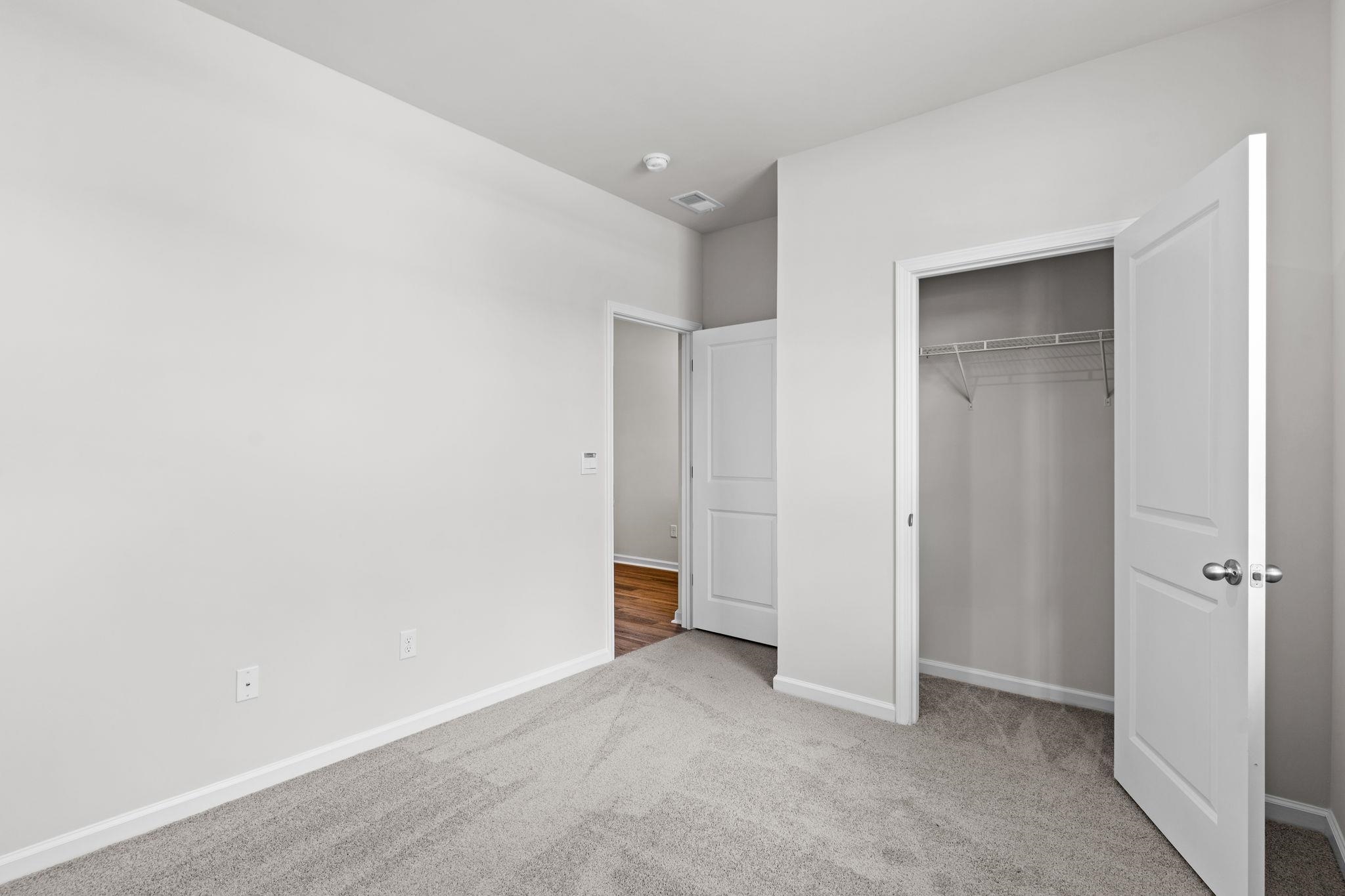338 Ridley St Property Photo 17
