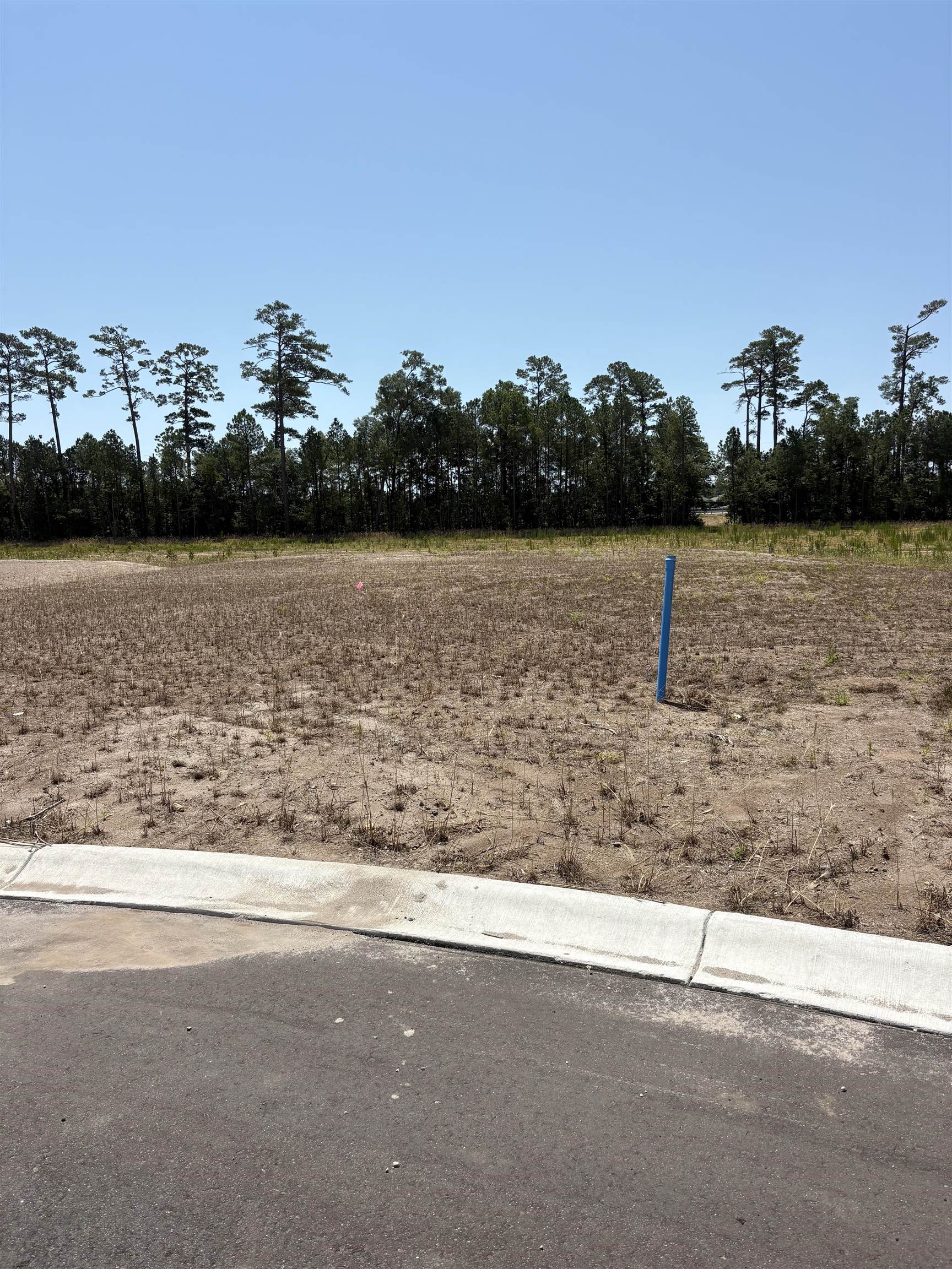459 Pompano Court Property Photo 3