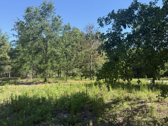 491 Crow Burk Rd Property Photo 4