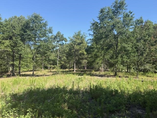 491 Crow Burk Rd Property Photo 5