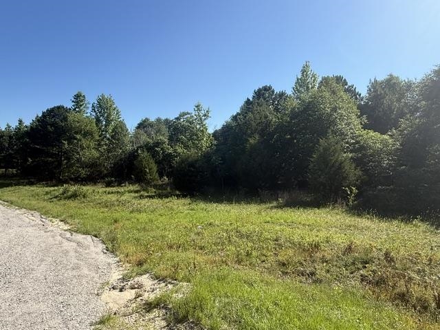 491 Crow Burk Rd Property Photo 7