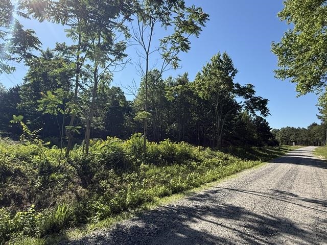 491 Crow Burk Rd Property Photo 8
