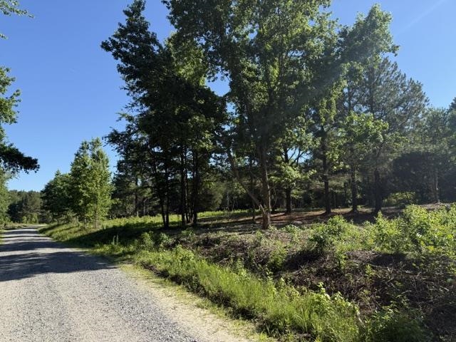 491 Crow Burk Rd Property Photo 1