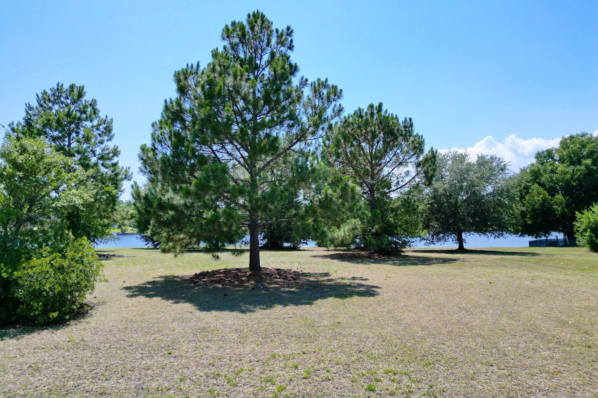 1113 Glossy Ibis Dr. Property Photo 15