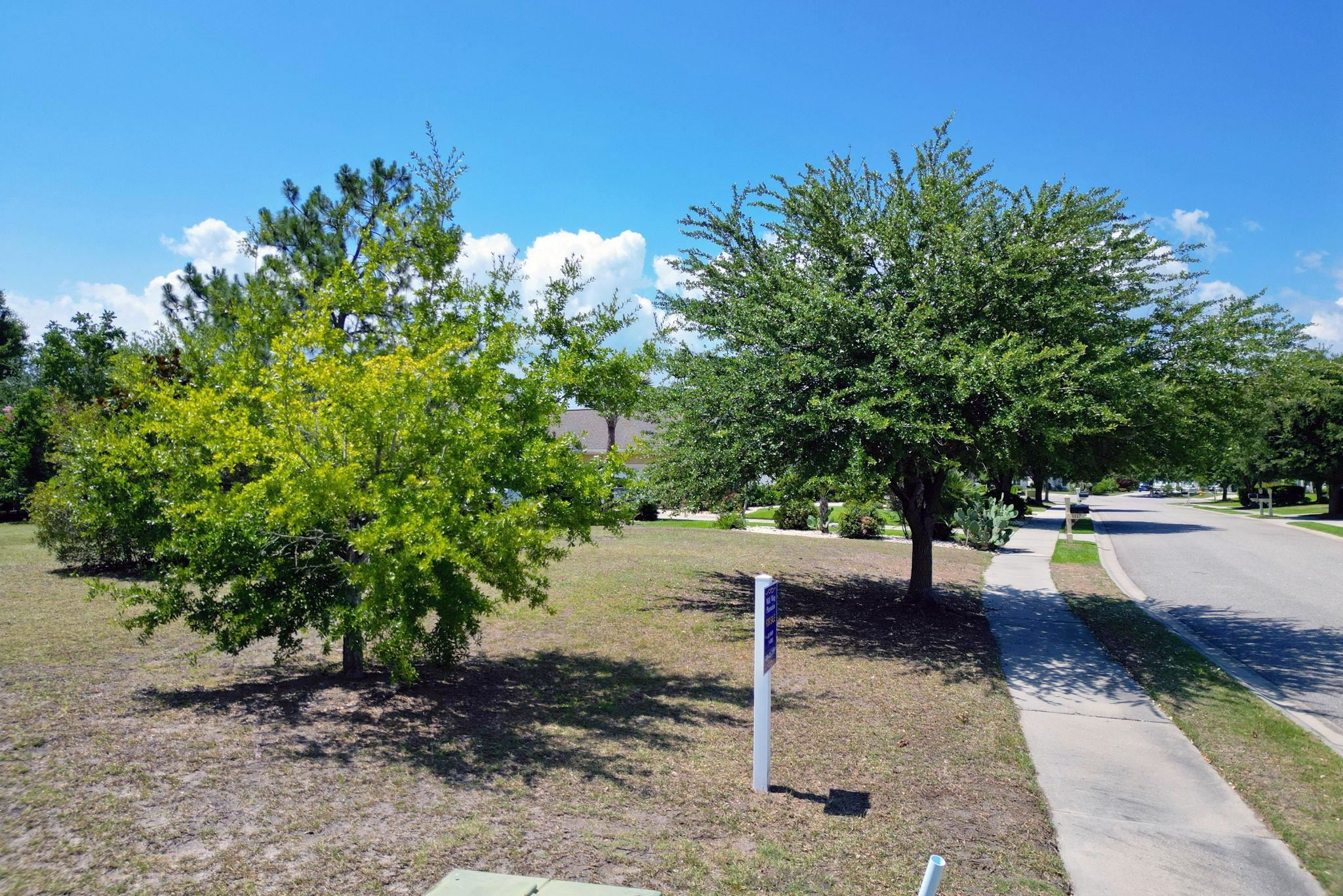 1113 Glossy Ibis Dr. Property Photo 17