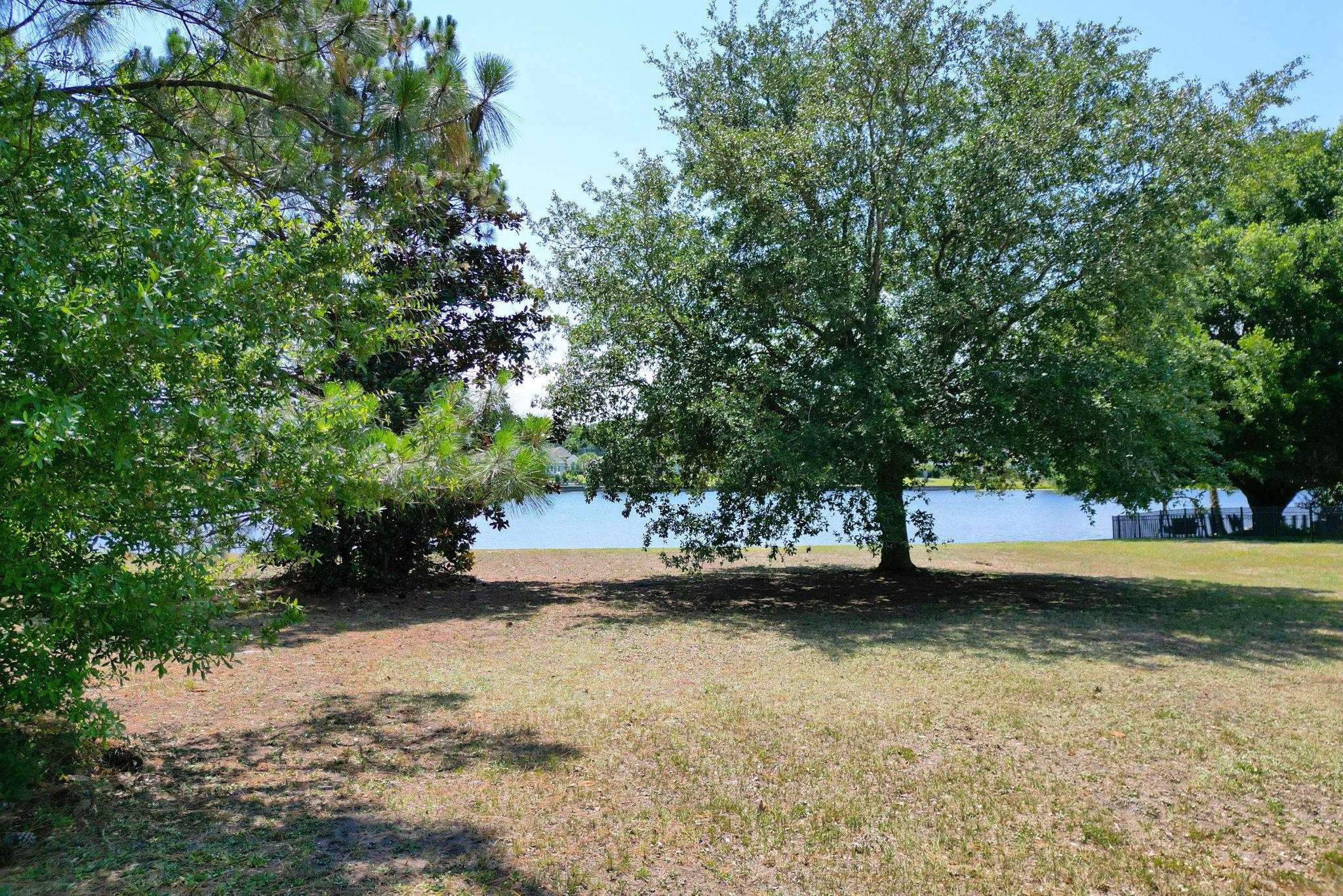 1113 Glossy Ibis Dr. Property Photo 19