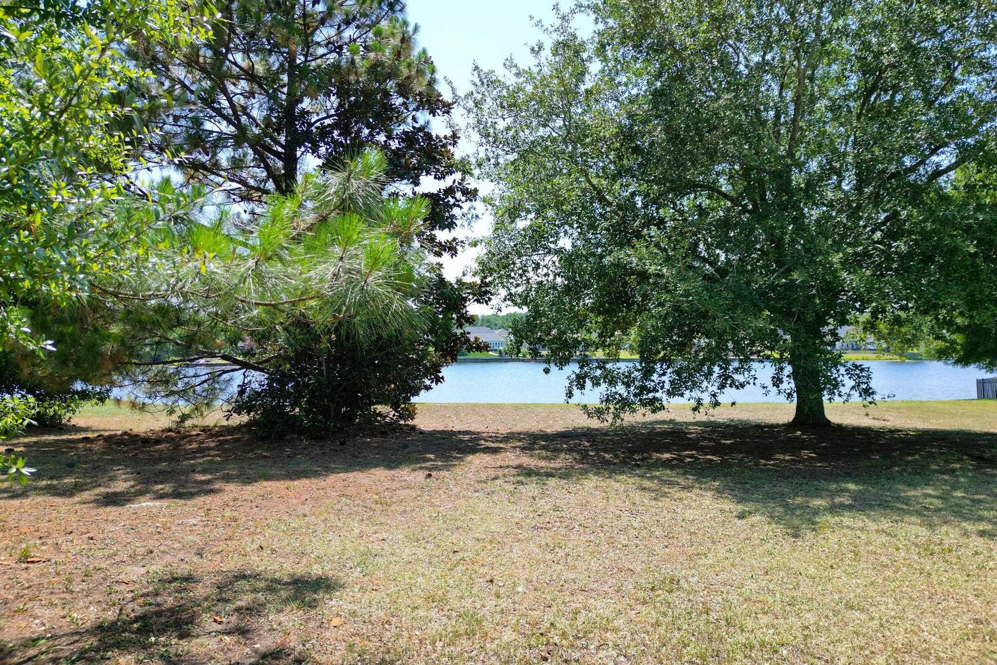 1113 Glossy Ibis Dr. Property Photo 20