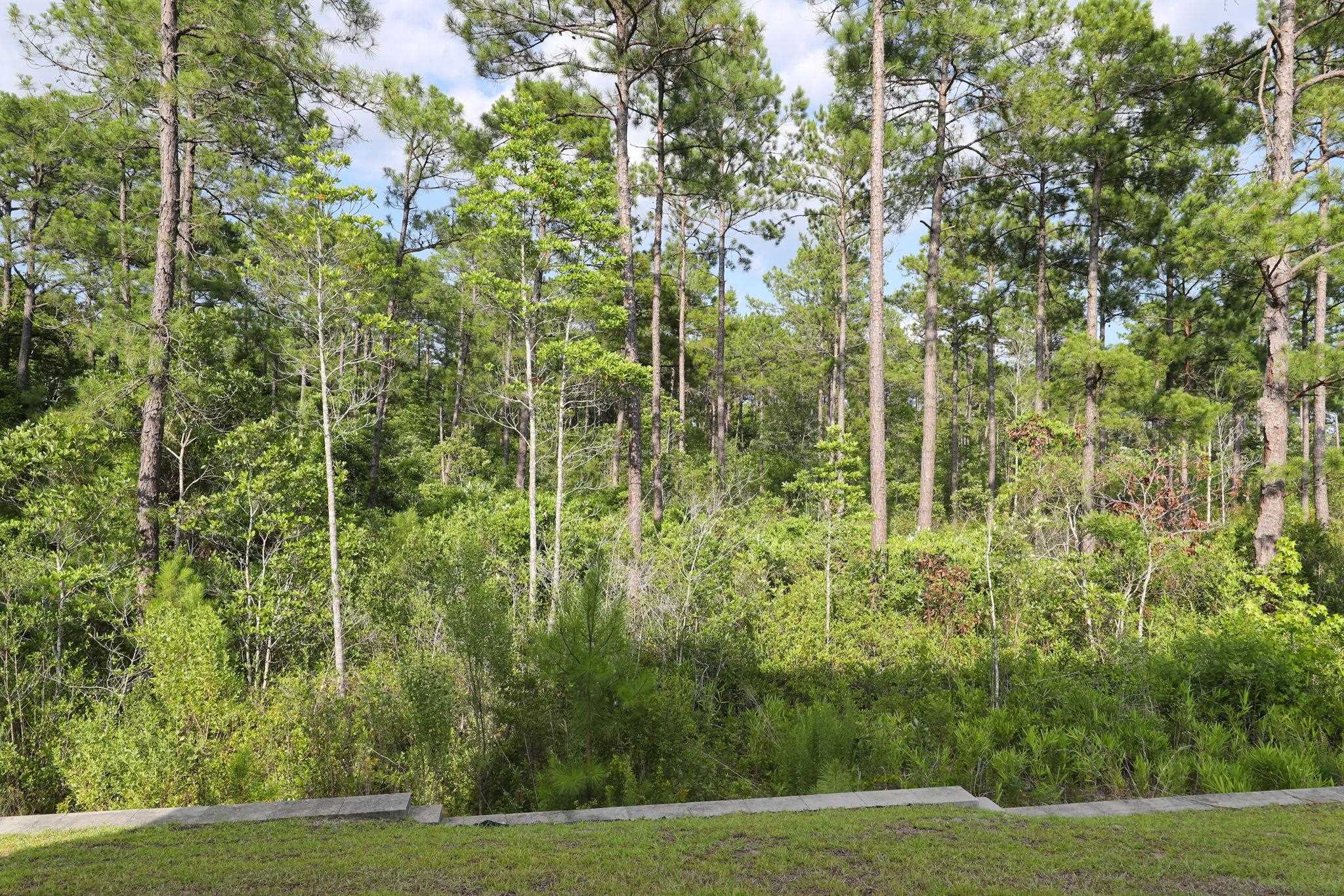 2618 Muhly Ct. Property Photo 25