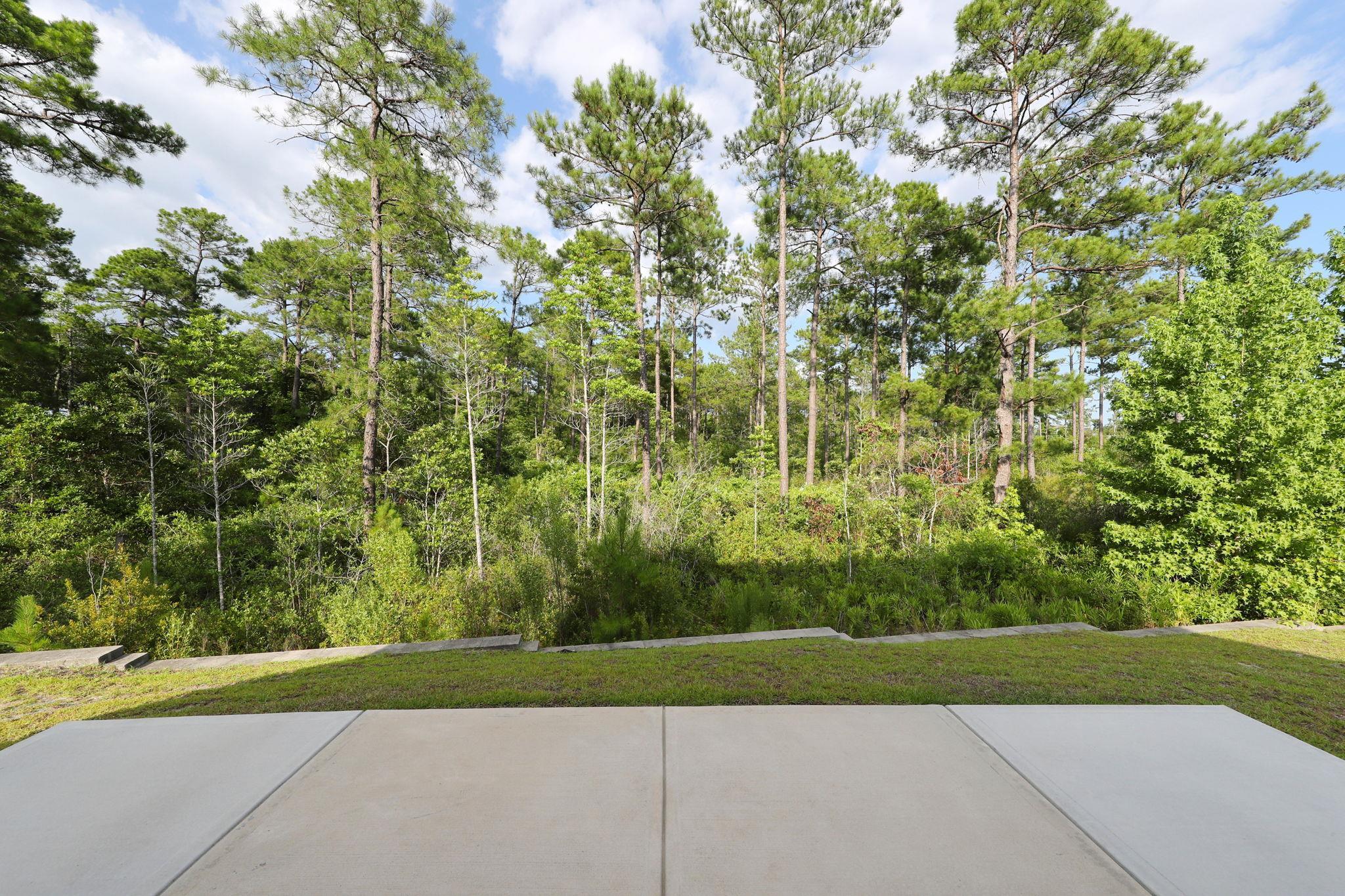 2618 Muhly Ct. Property Photo 56