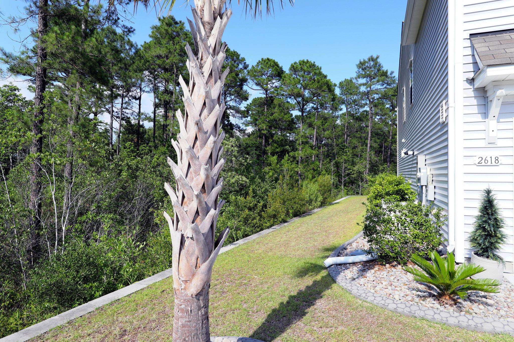 2618 Muhly Ct. Property Photo 62