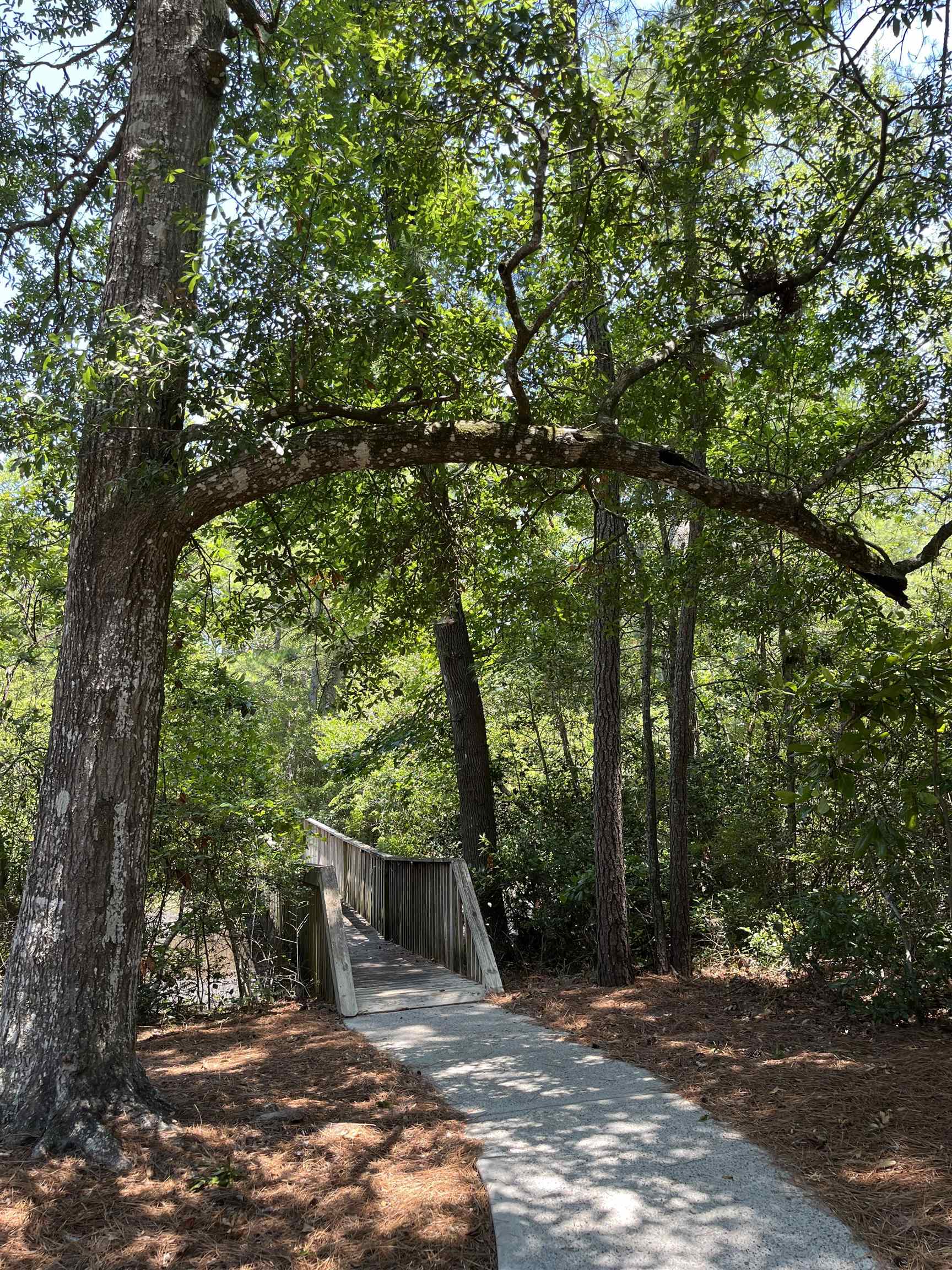 1551 Spinnaker Dr. Property Photo 28