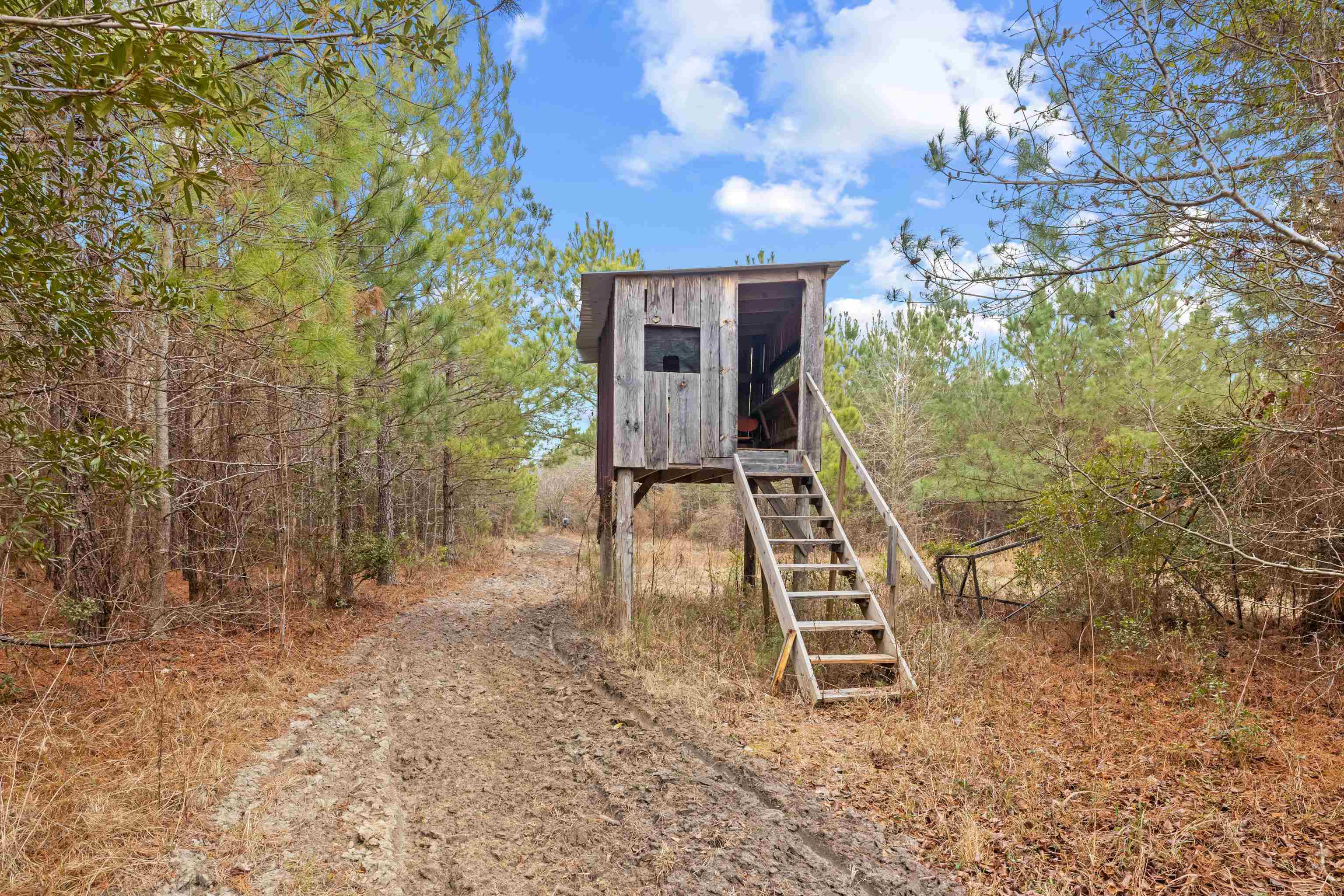 Tbd 183 Acres Blakely Rd. Property Photo 1