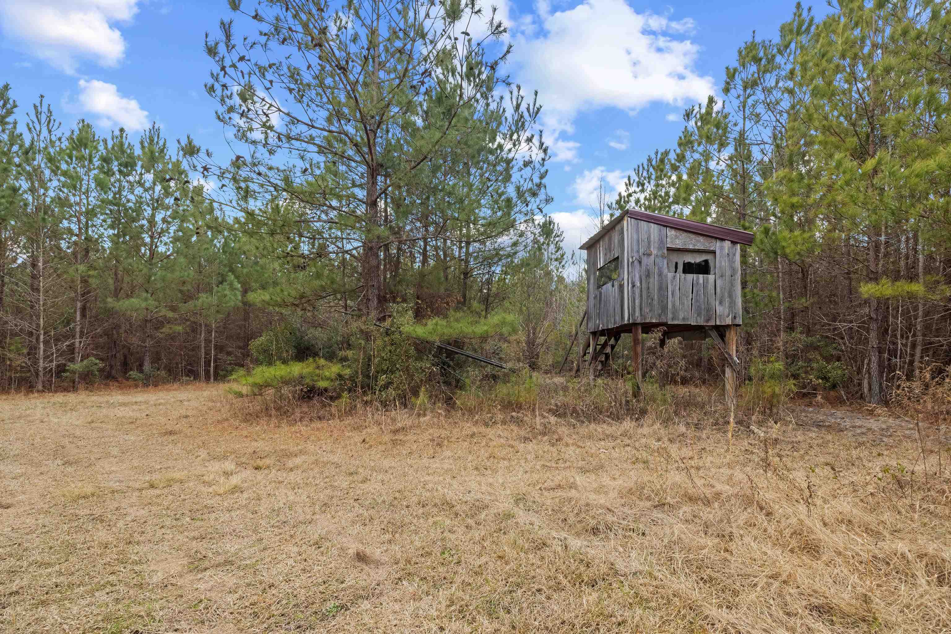 Tbd 183 Acres Blakely Rd. Property Photo 2