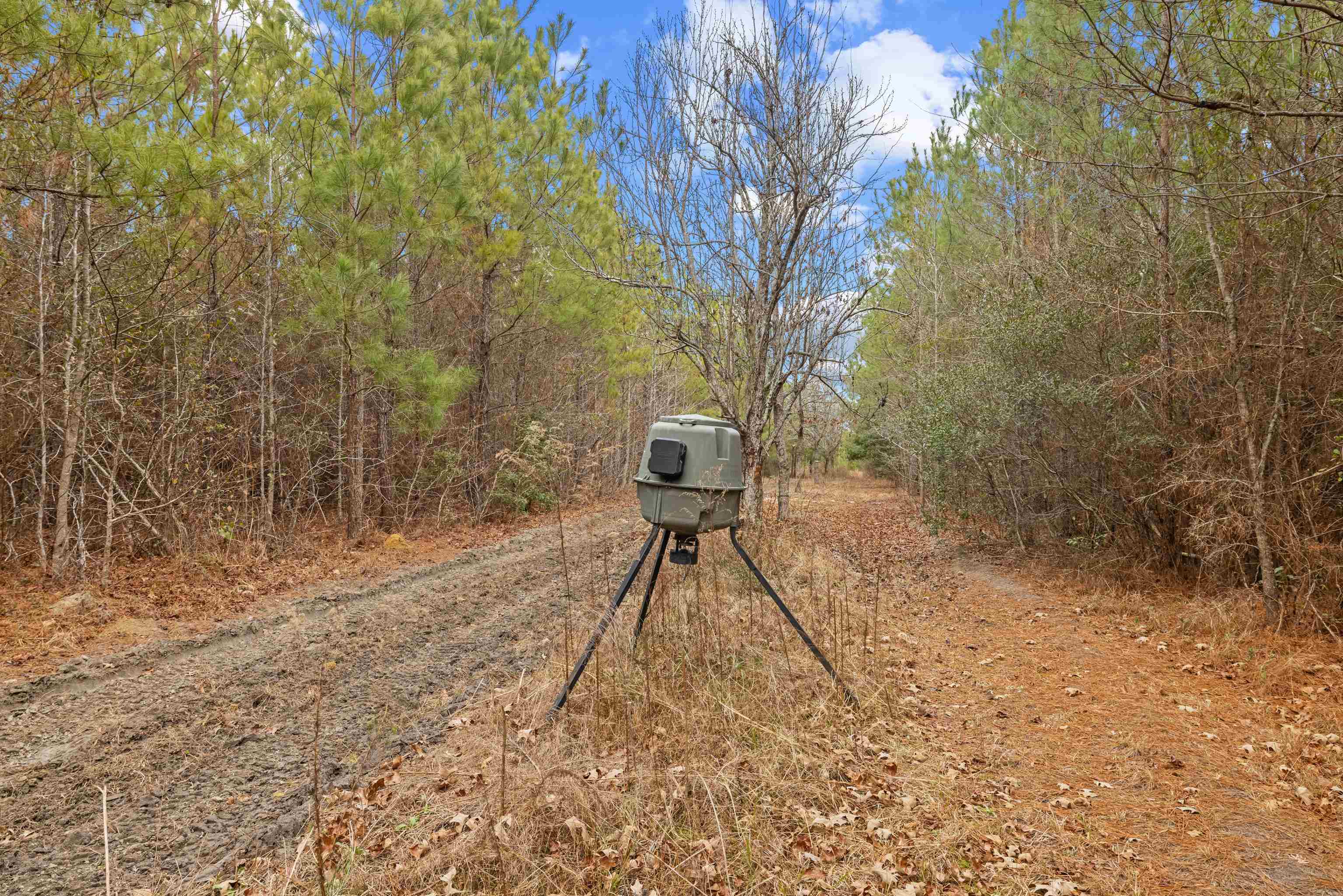 Tbd 183 Acres Blakely Rd. Property Photo 3