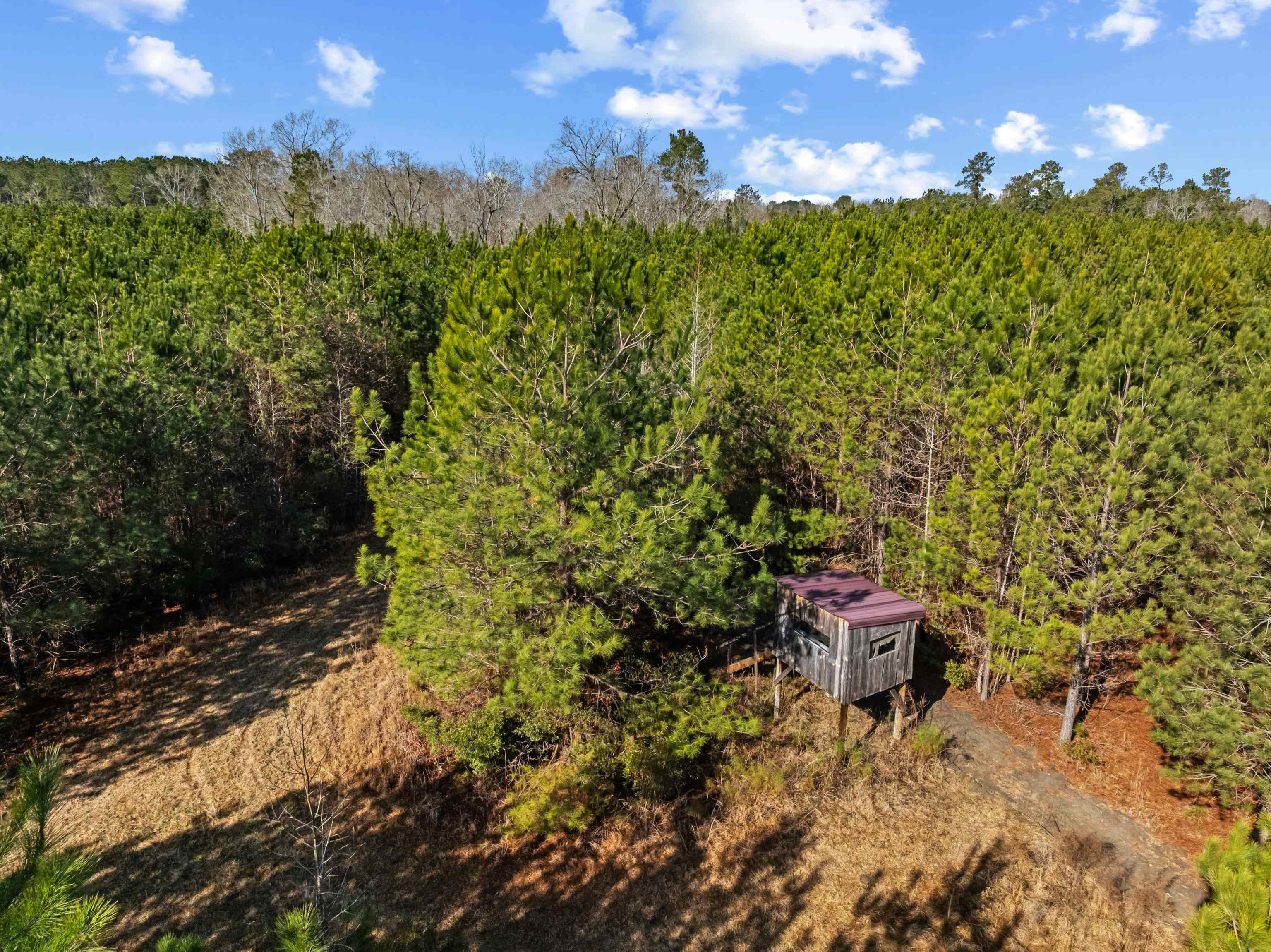 Tbd 183 Acres Blakely Rd. Property Photo 4