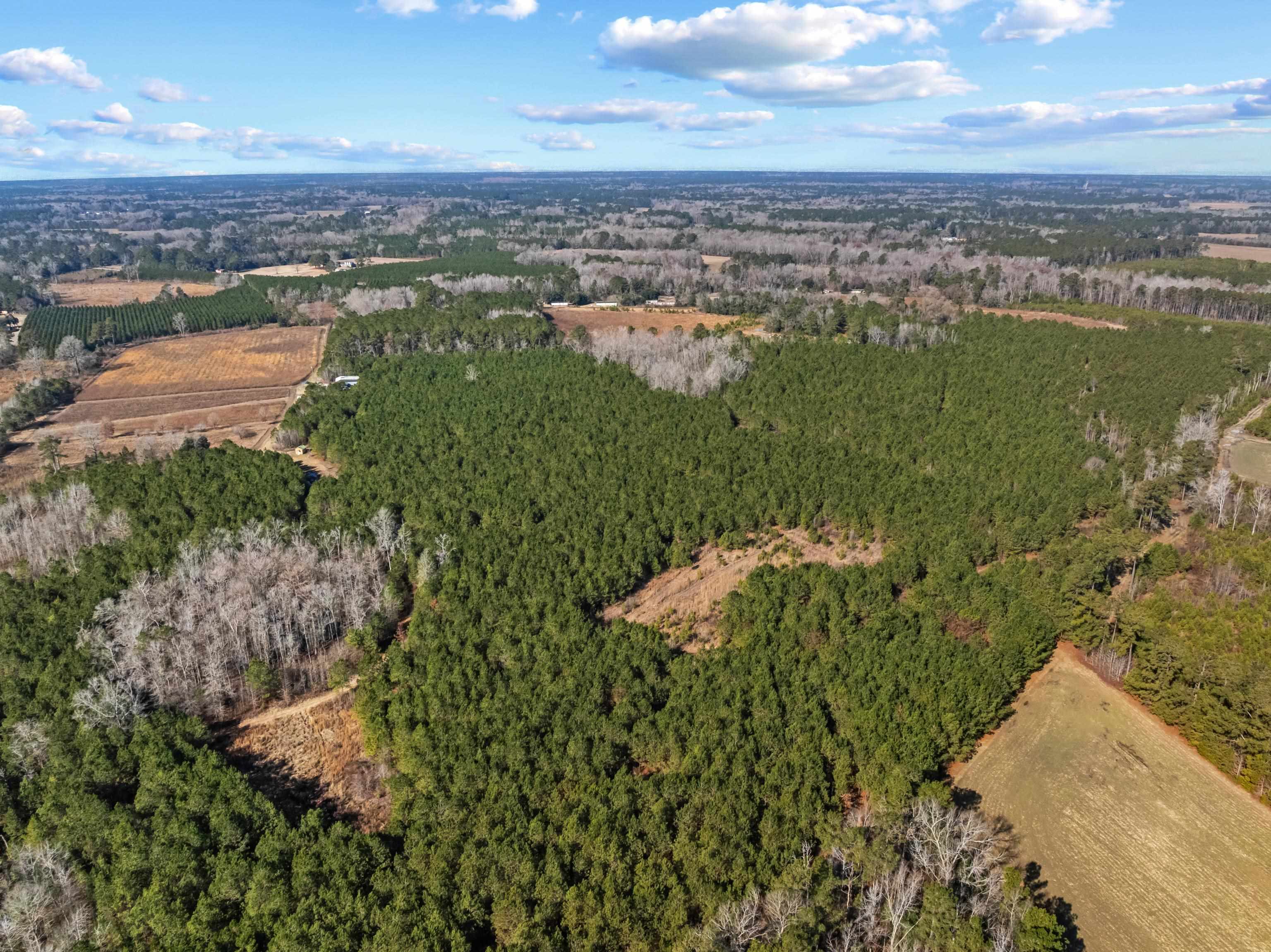 Tbd 183 Acres Blakely Rd. Property Photo 5
