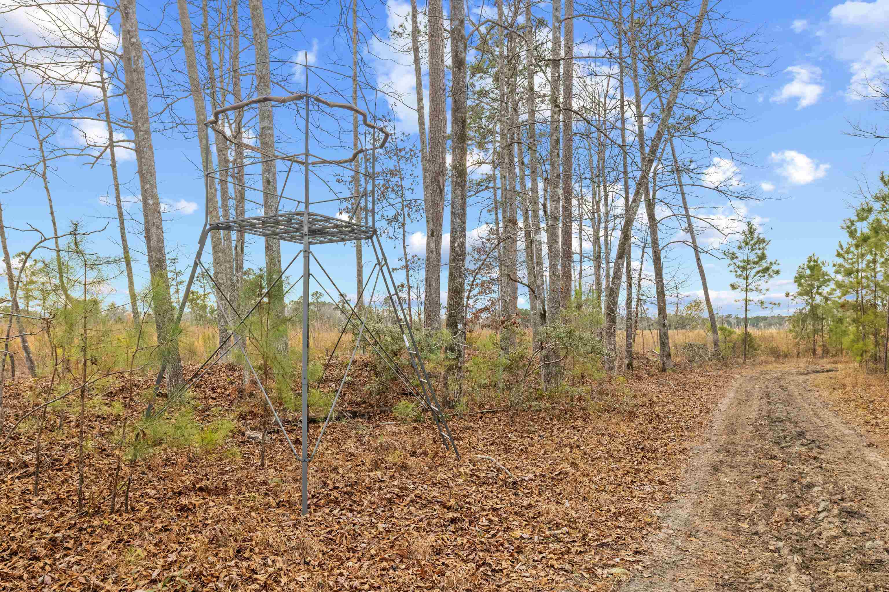 Tbd 183 Acres Blakely Rd. Property Photo 8