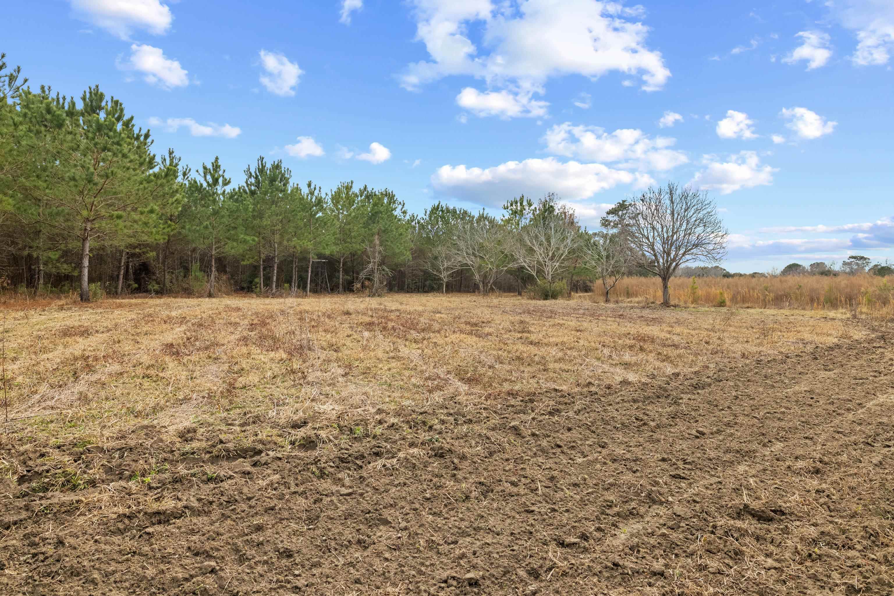 Tbd 183 Acres Blakely Rd. Property Photo 11