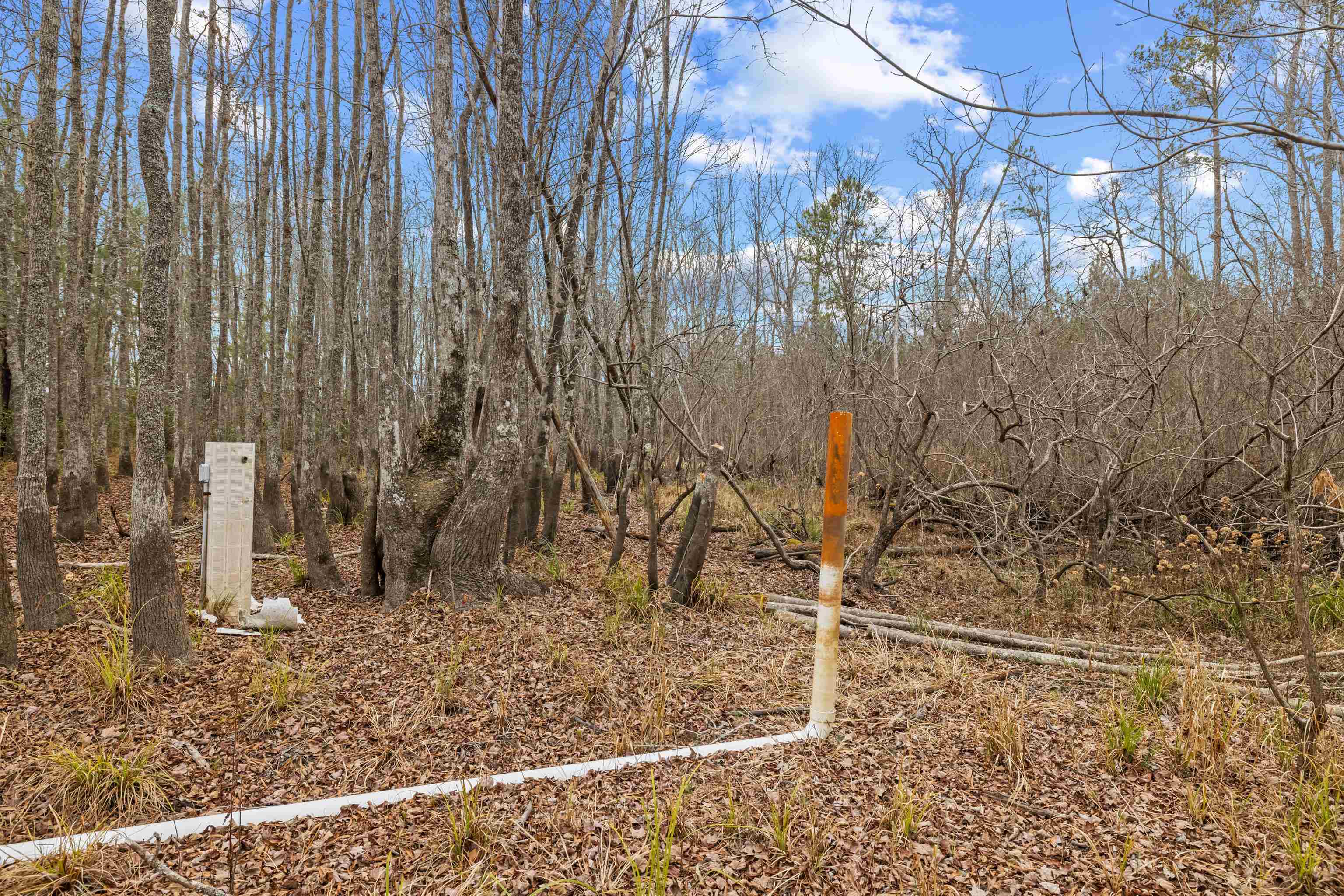 Tbd 183 Acres Blakely Rd. Property Photo 12