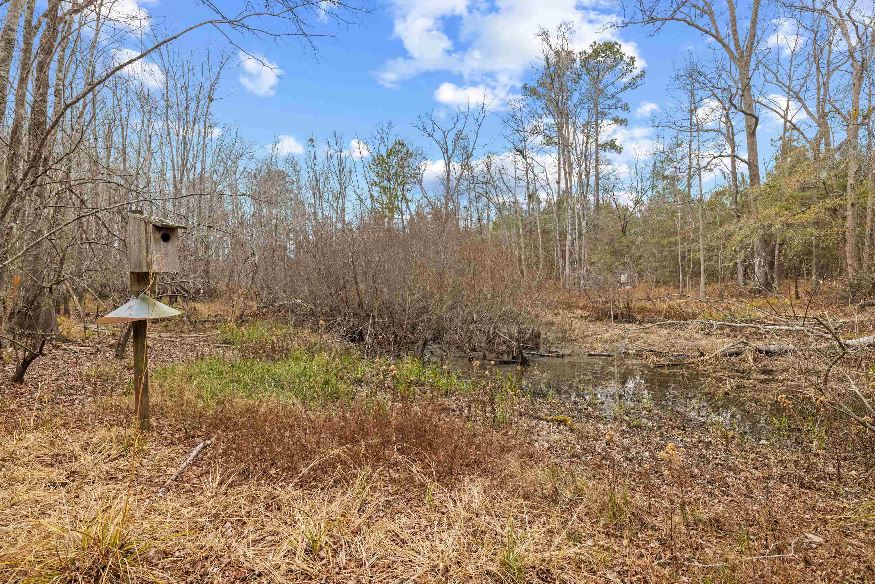 Tbd 183 Acres Blakely Rd. Property Photo 13