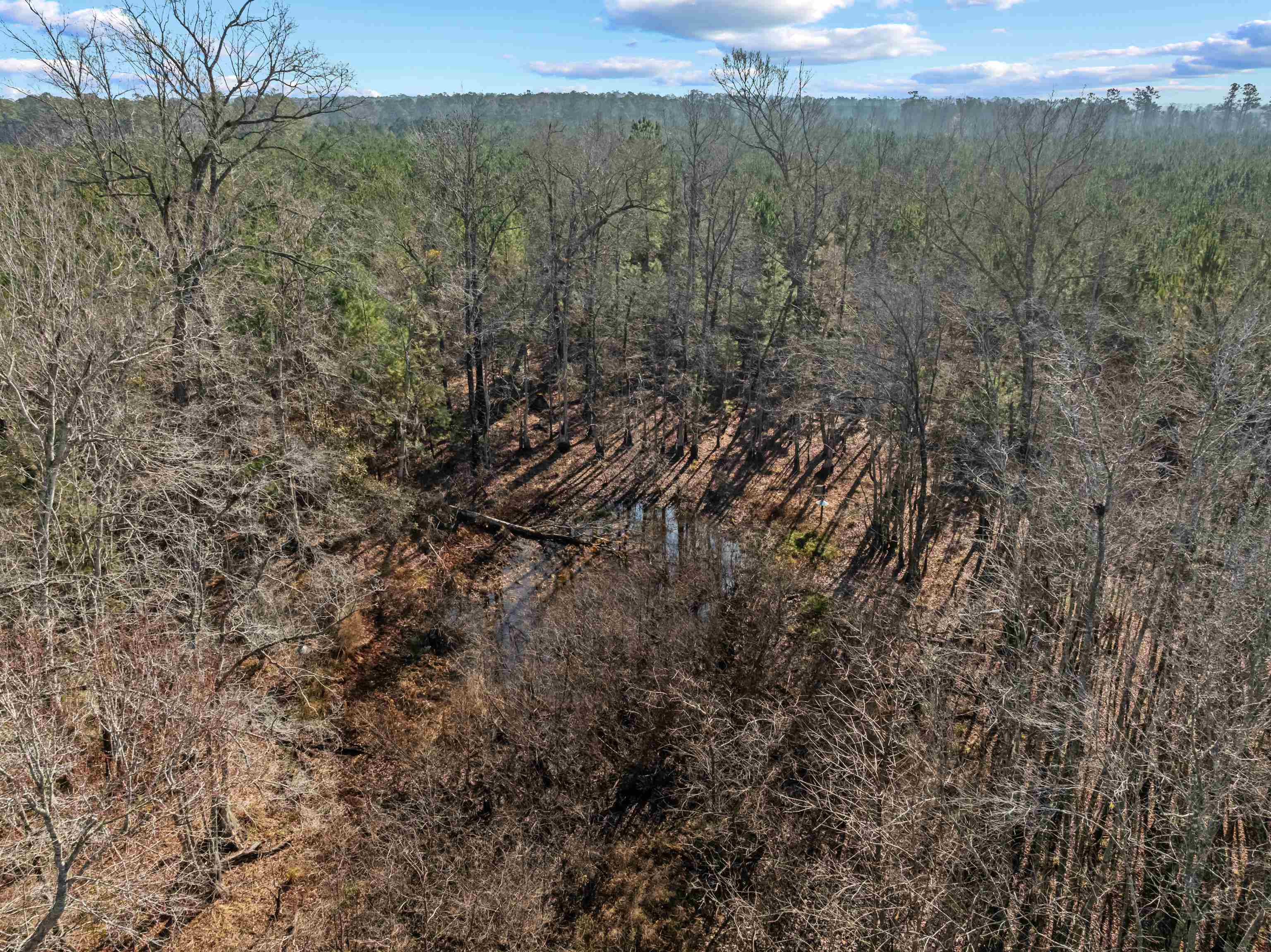 Tbd 183 Acres Blakely Rd. Property Photo 14