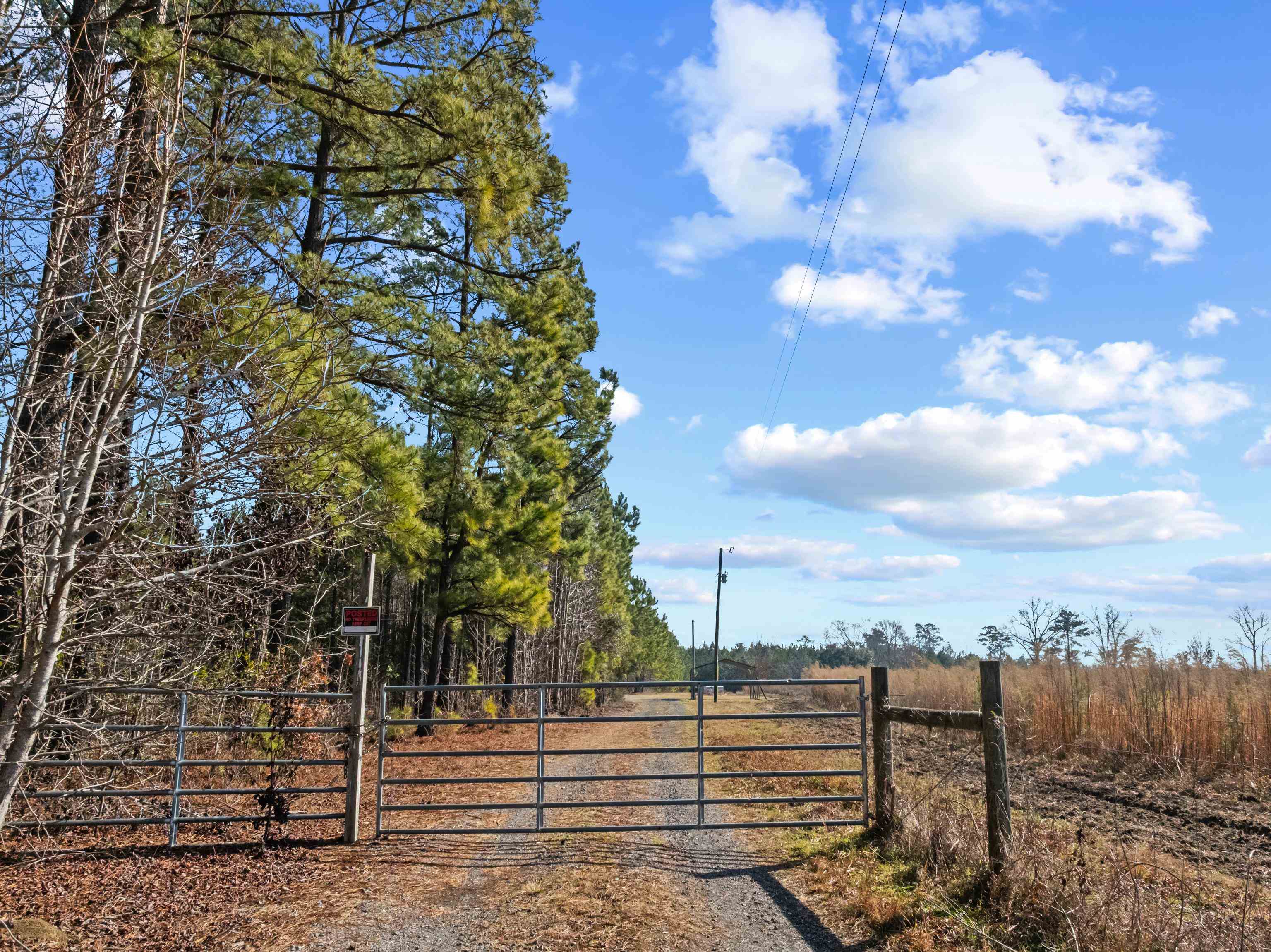 Tbd 183 Acres Blakely Rd. Property Photo 15