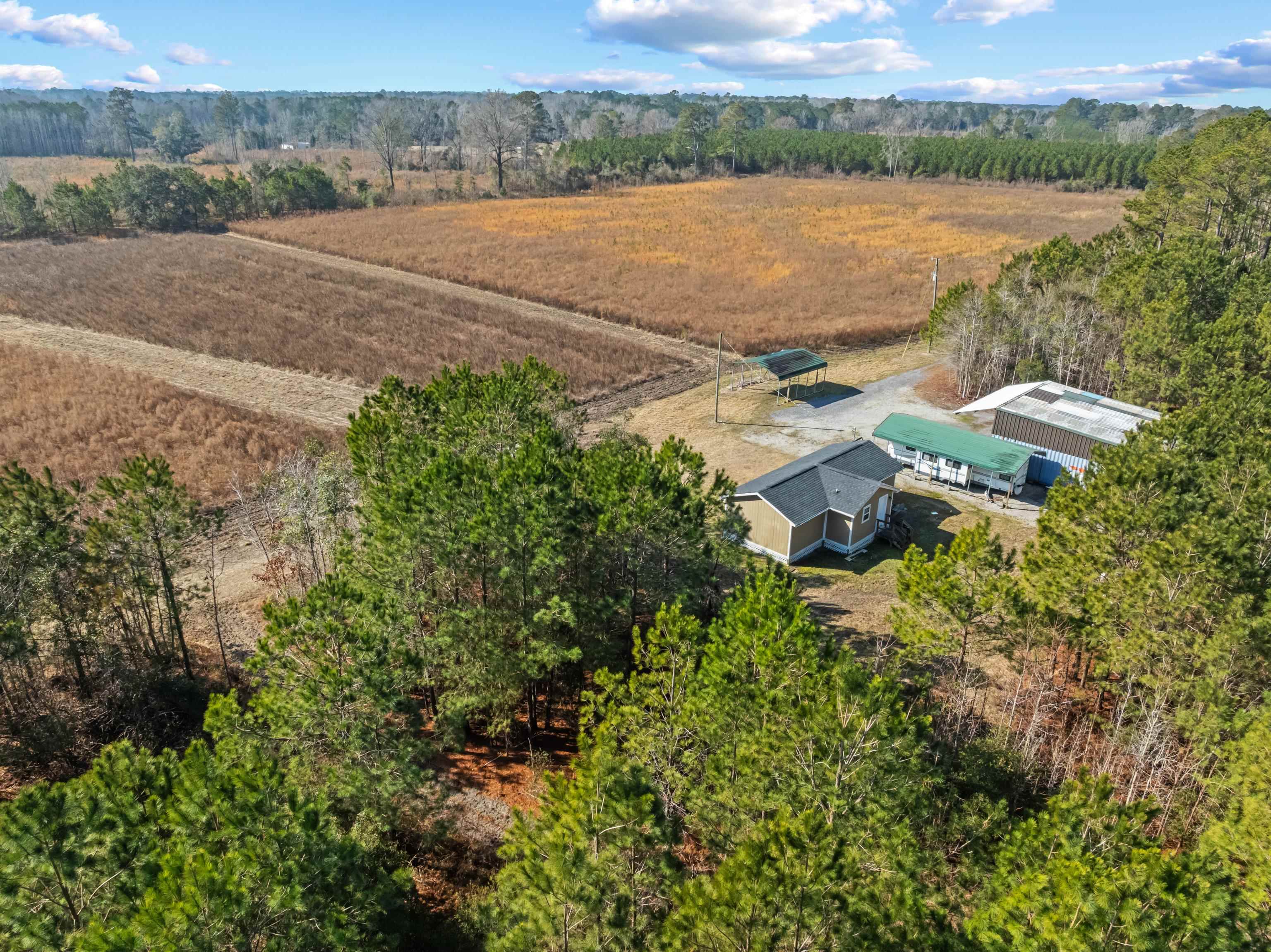Tbd 183 Acres Blakely Rd. Property Photo 24